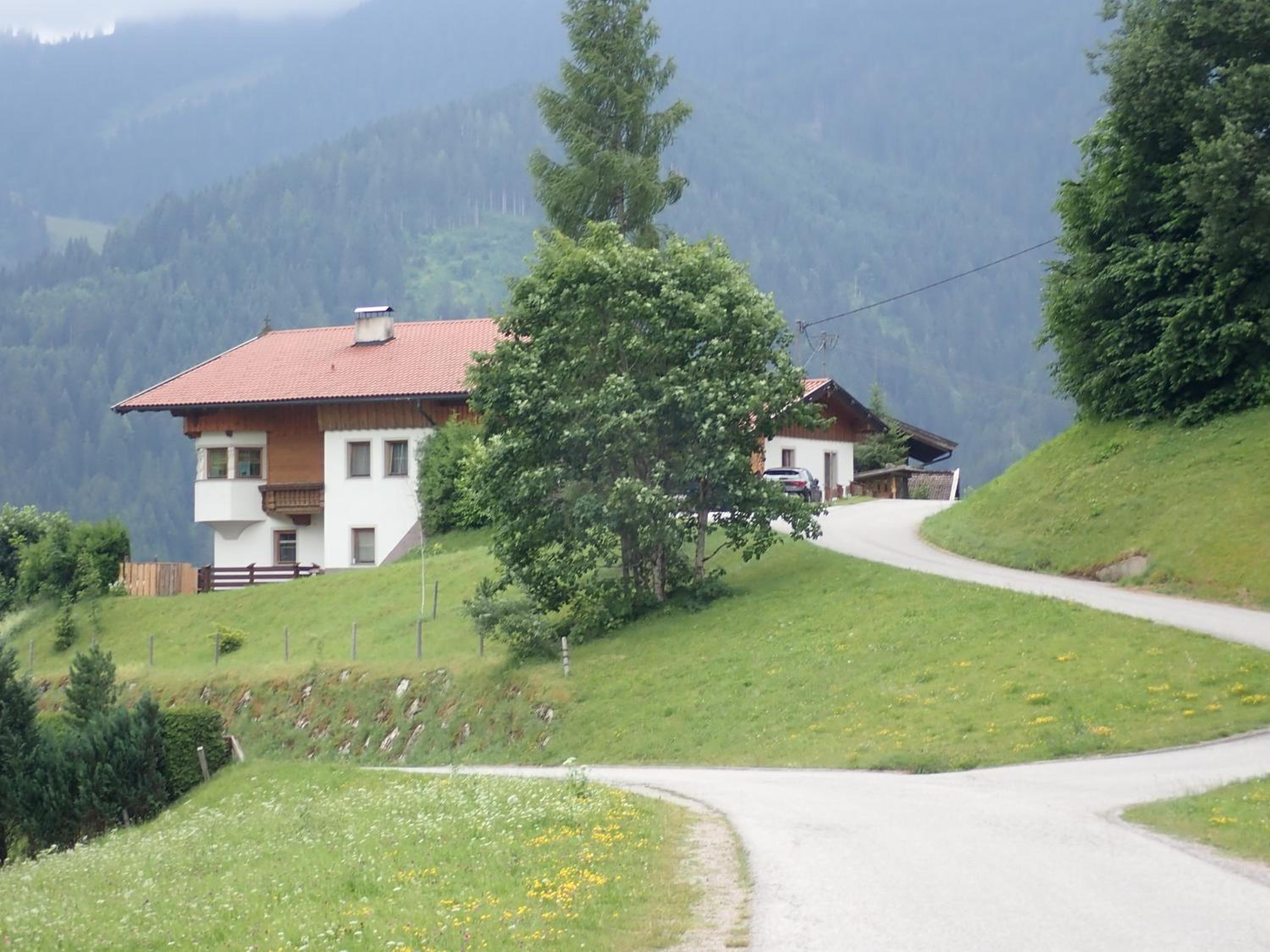 Ferienwohnung Pusteblume view 4