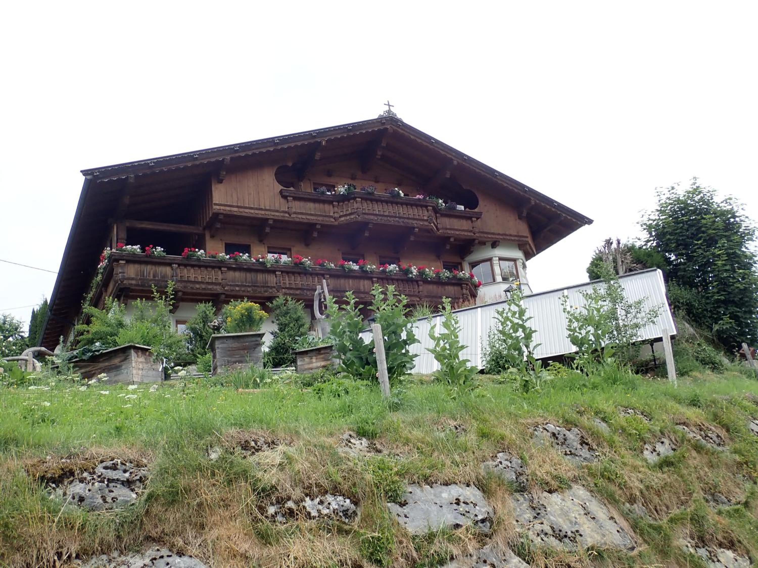 Ferienwohnung Pusteblume view 5