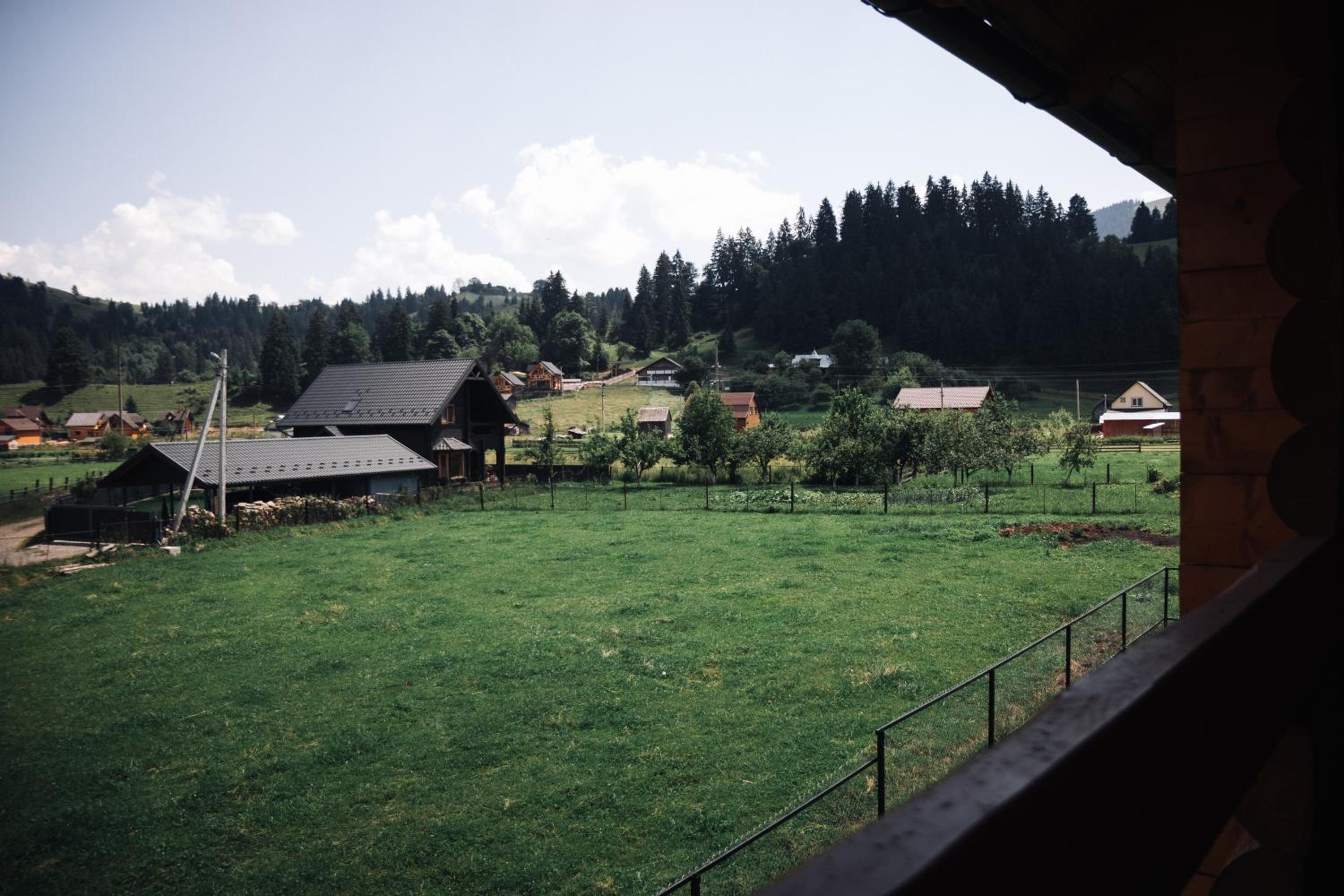 Photo 44