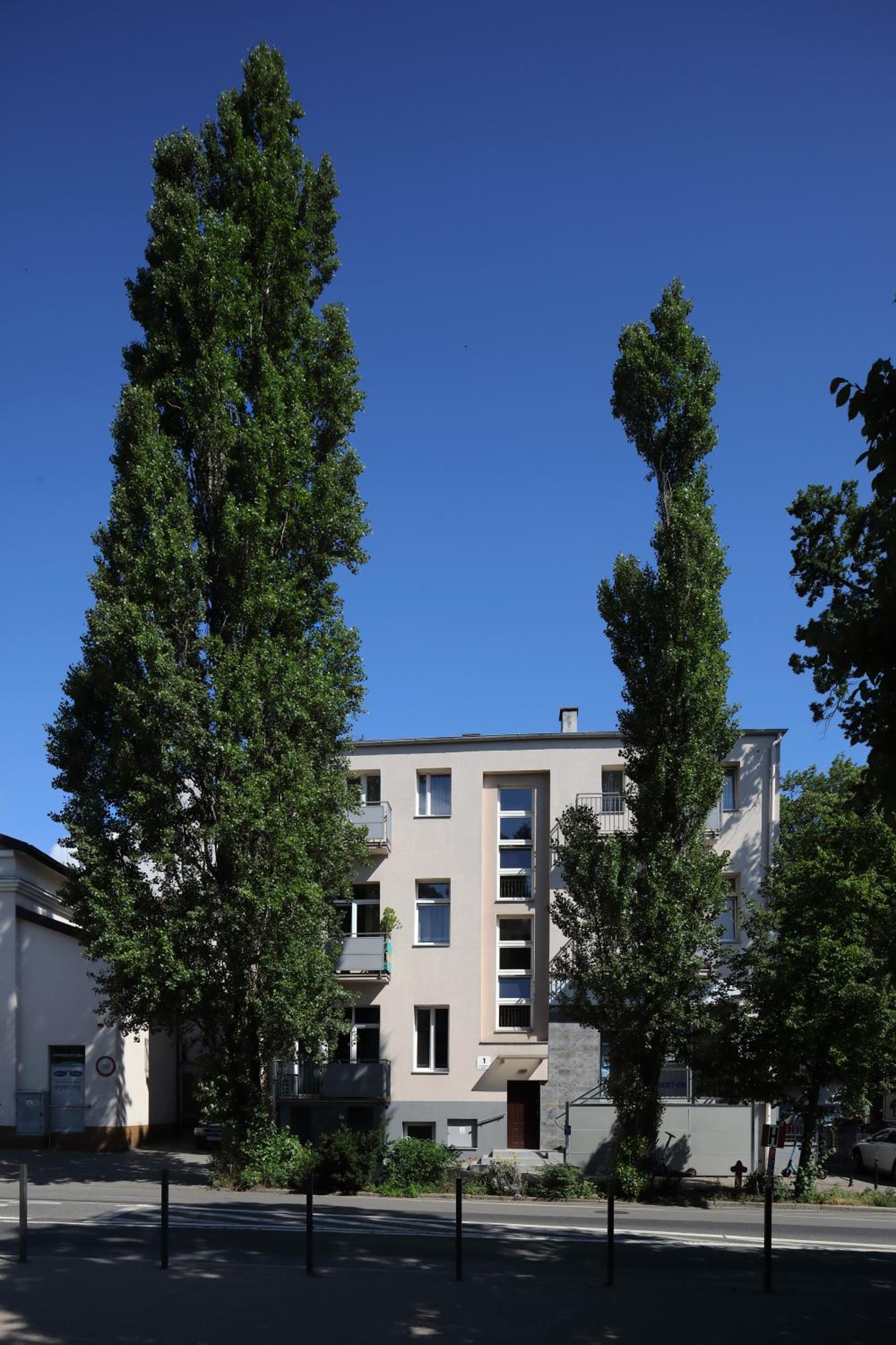 Photo 5