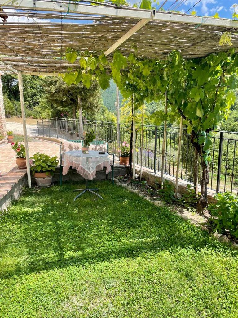 B&B Il Poggetto view 4