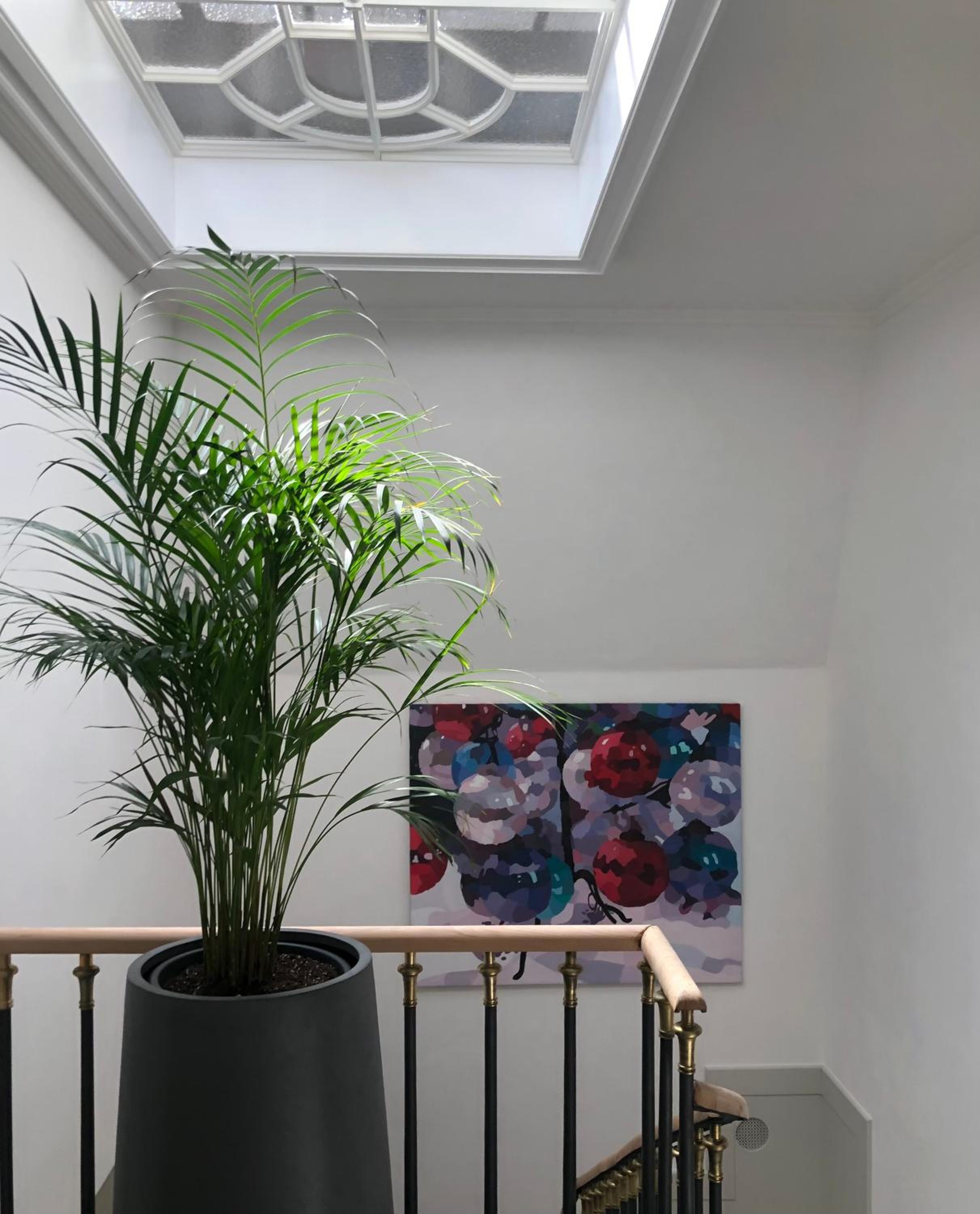 Galerie Suites