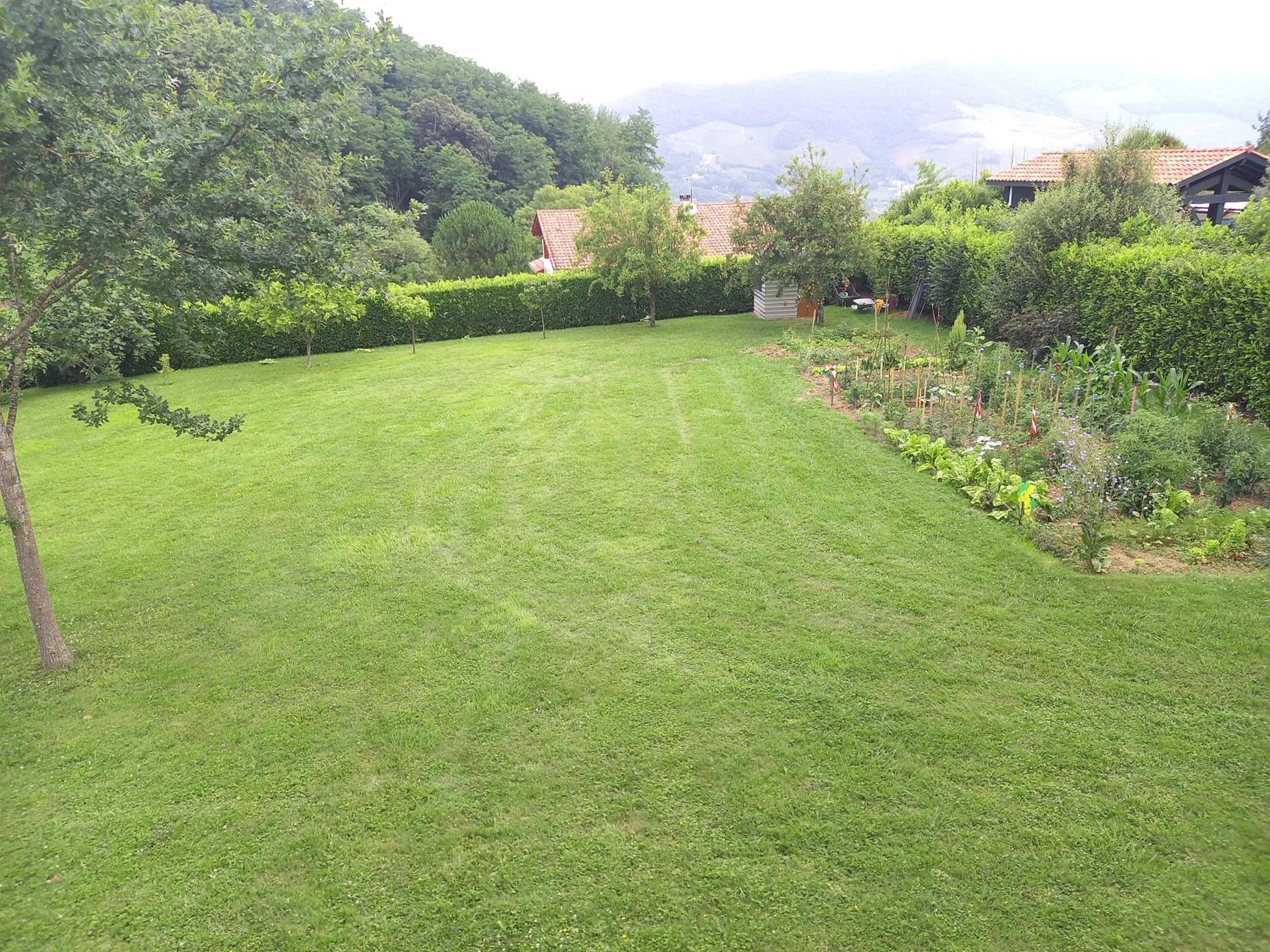 Photo 29