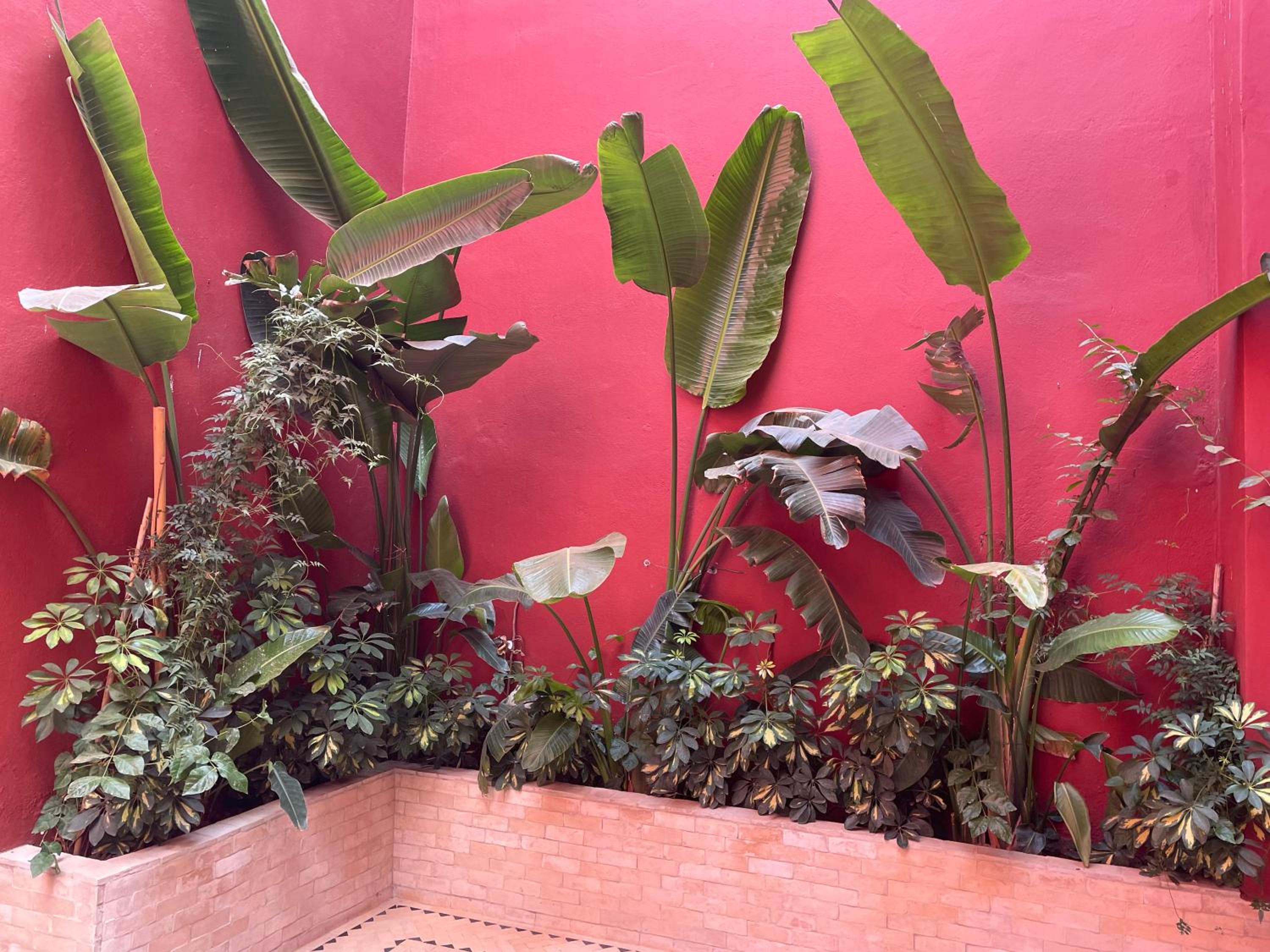 Riad l'Escale de Marrakech