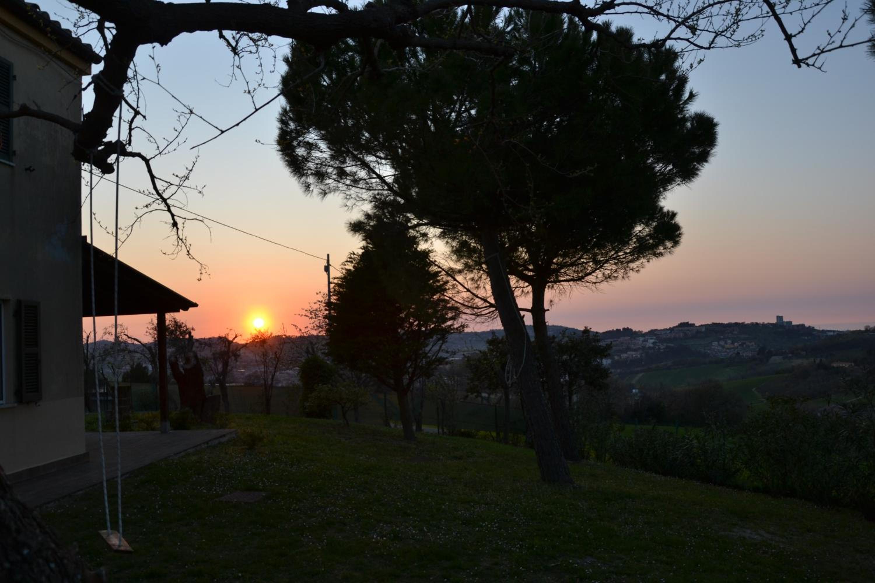 Photo 42