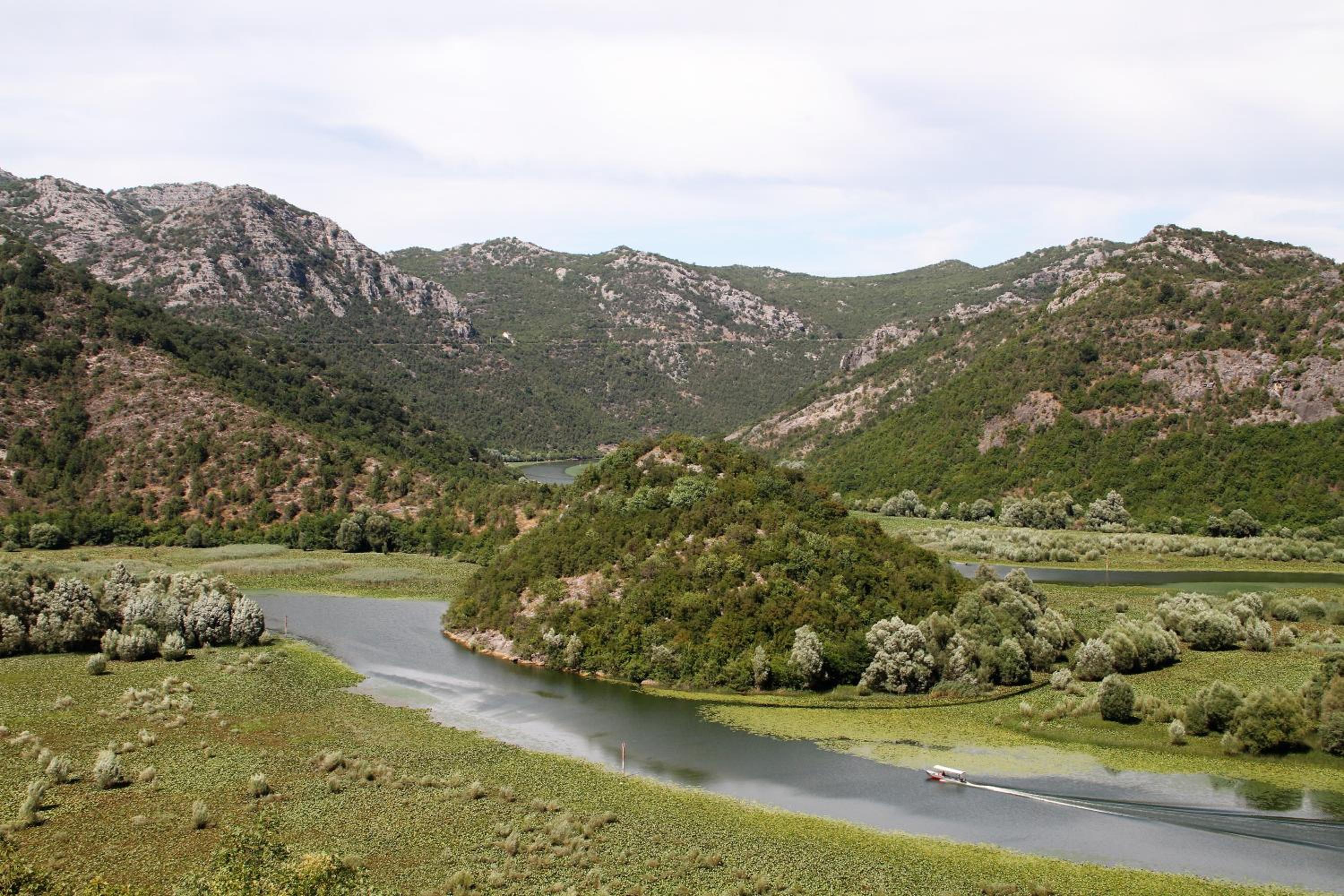 Photo 45