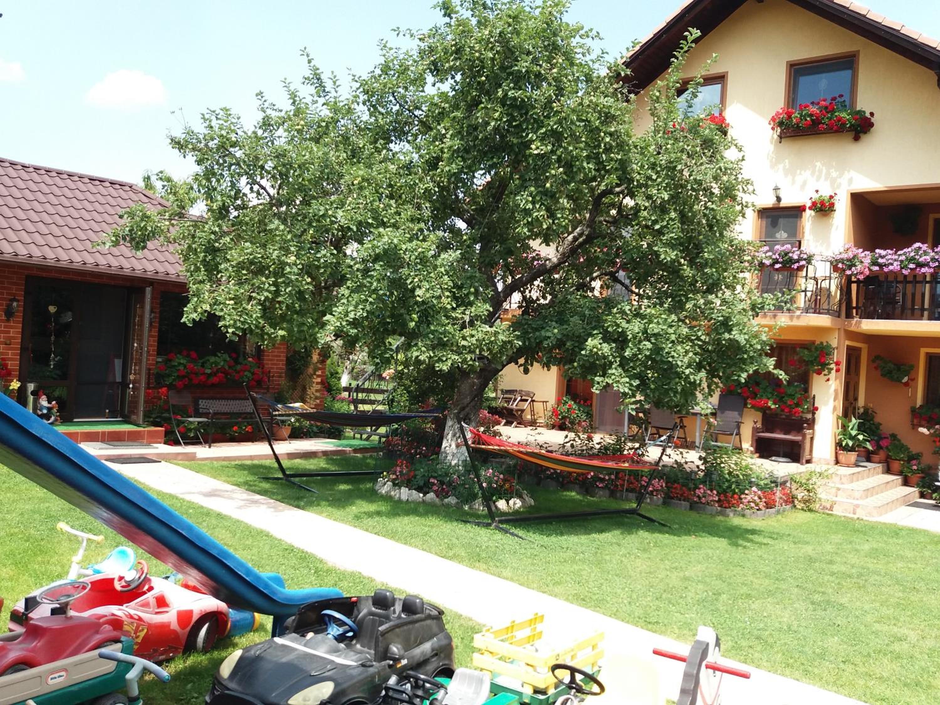 Photo 42