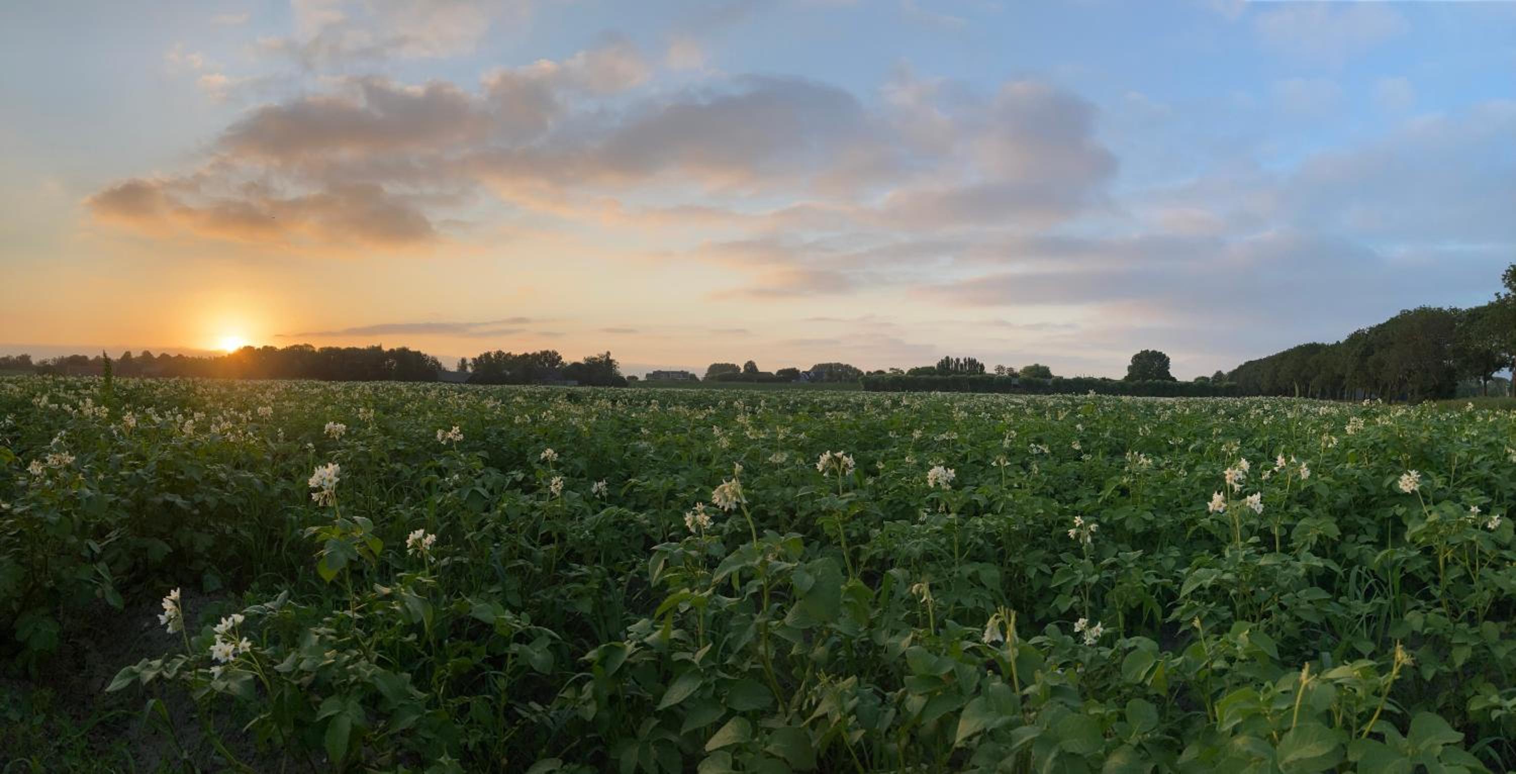 Polderhoek view 5