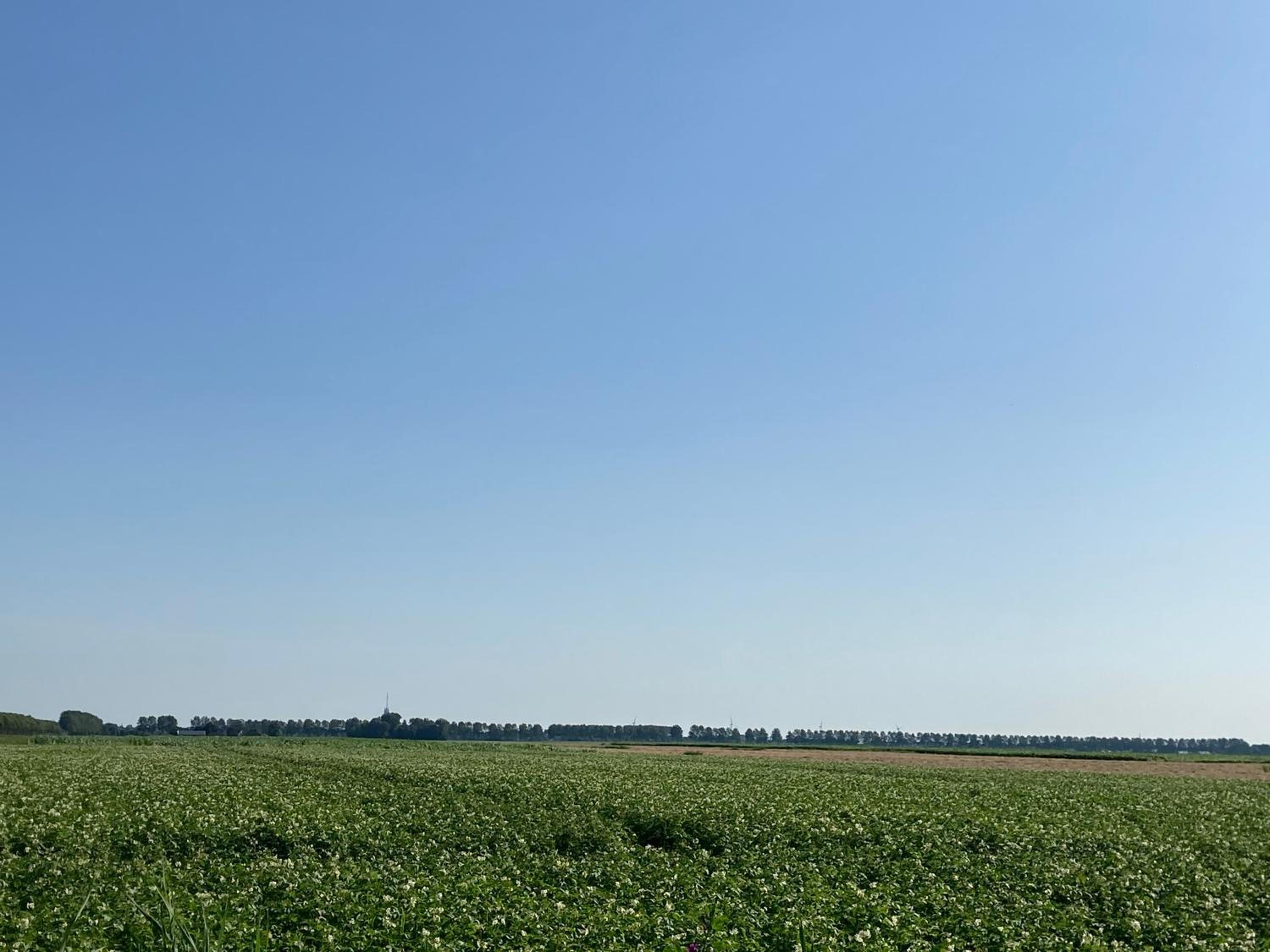 Polderhoek view 4