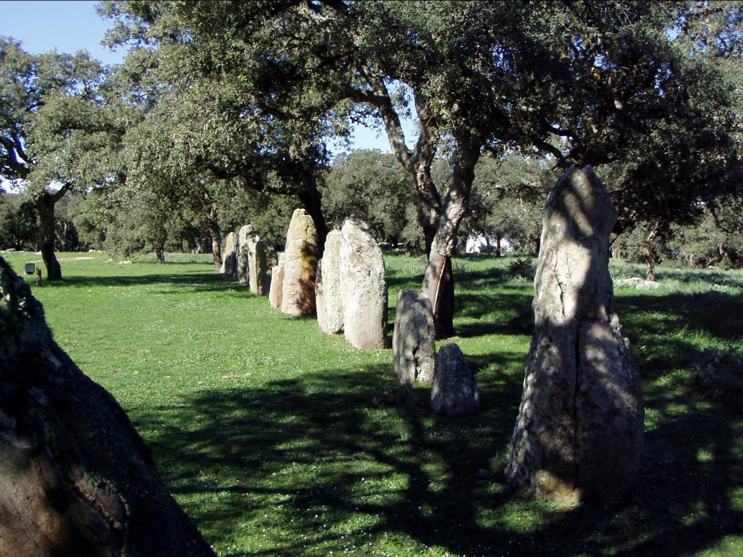 Photo 45