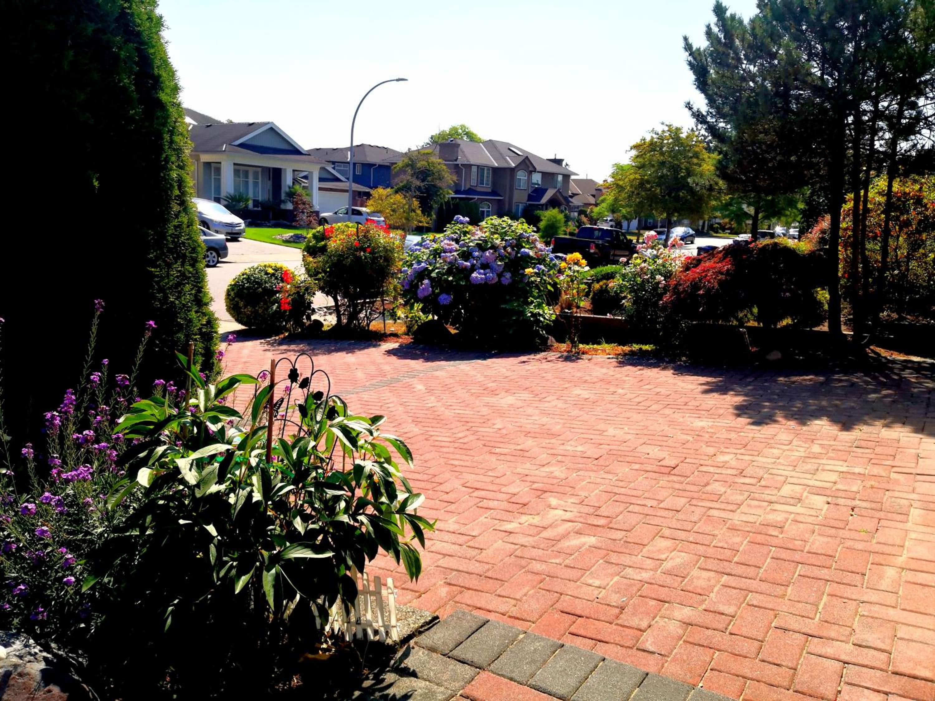 Photo 7