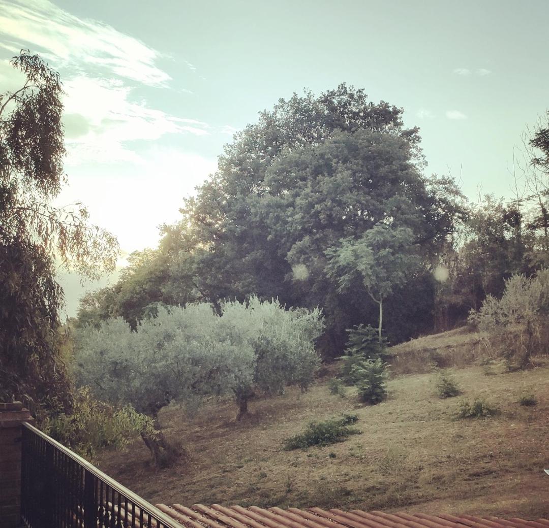 Casale del Sole