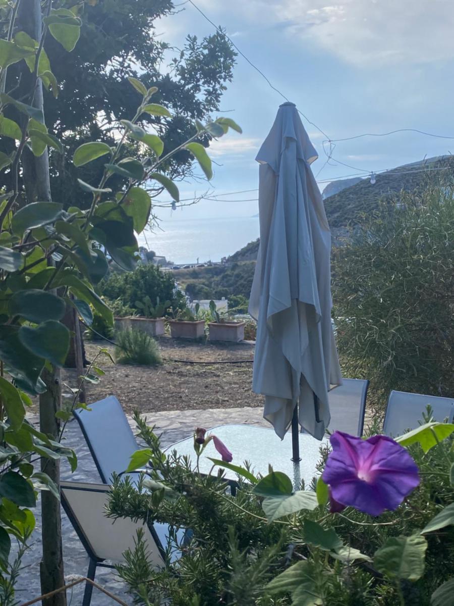 Bilocale zona porto con porzione di giardino distaccata ad uso privato photo 2