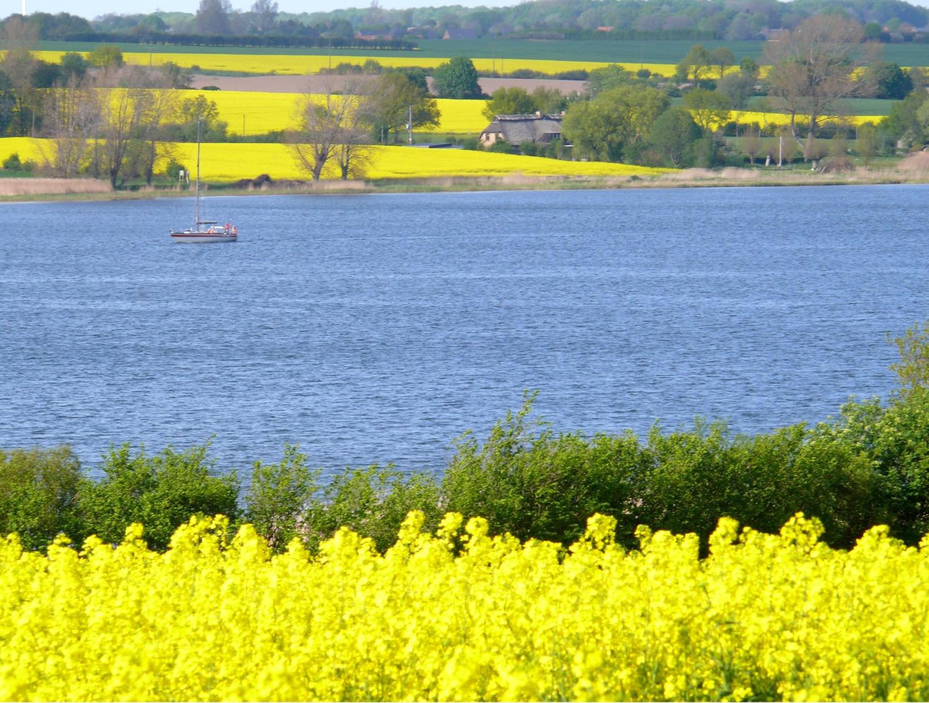 Ostsee Ferienhäuser