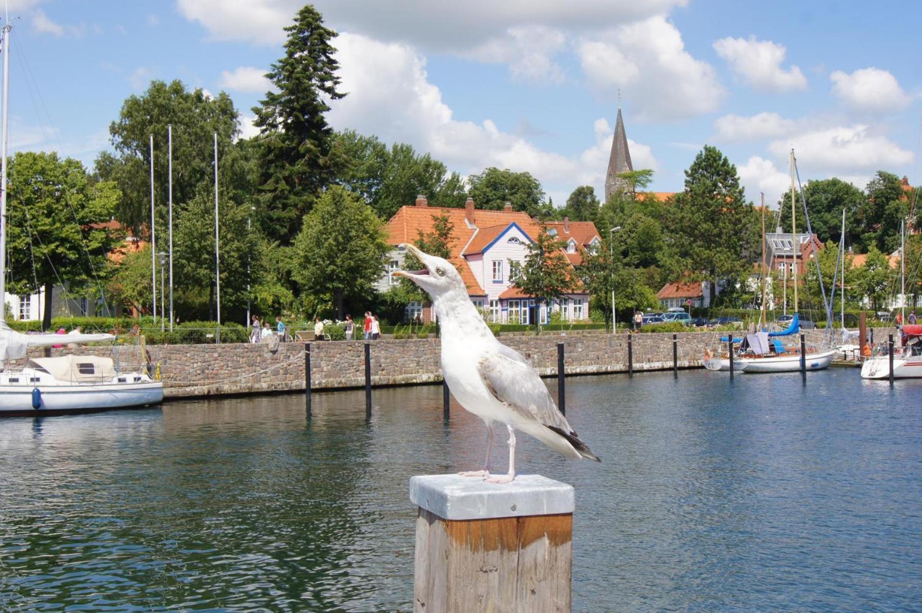Ostsee Ferienhäuser