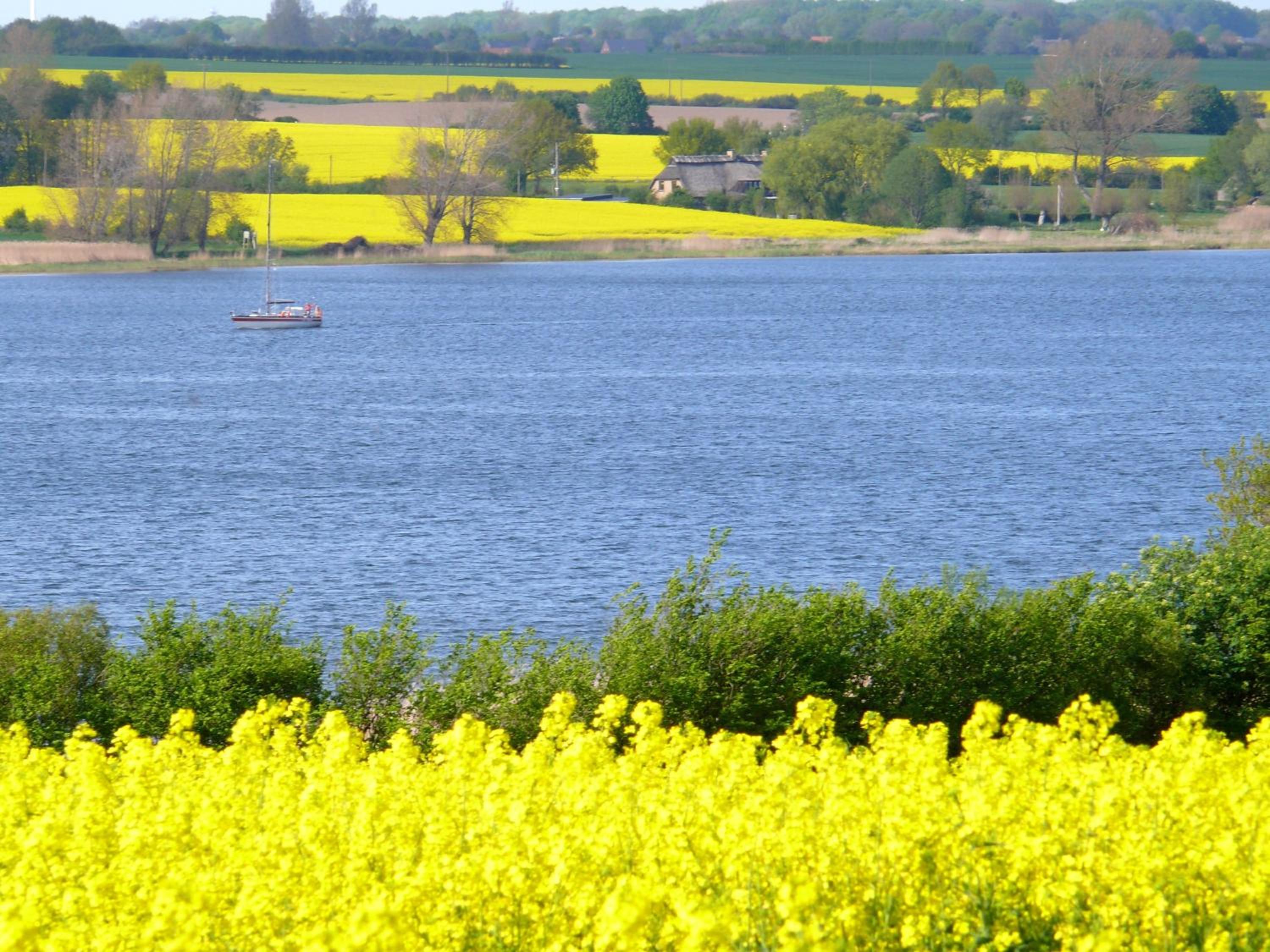 Ostsee Ferienhäuser