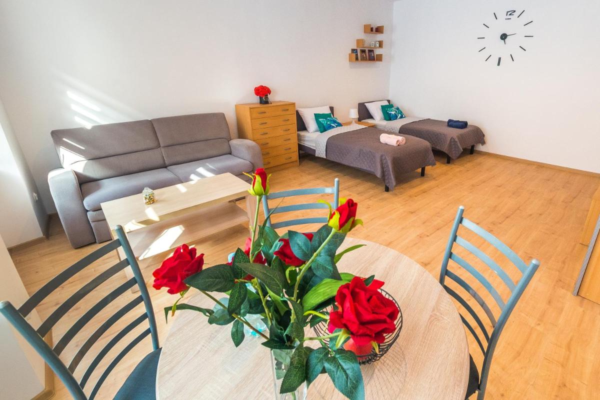 Apartament Śródmieście Przemyśl view 3