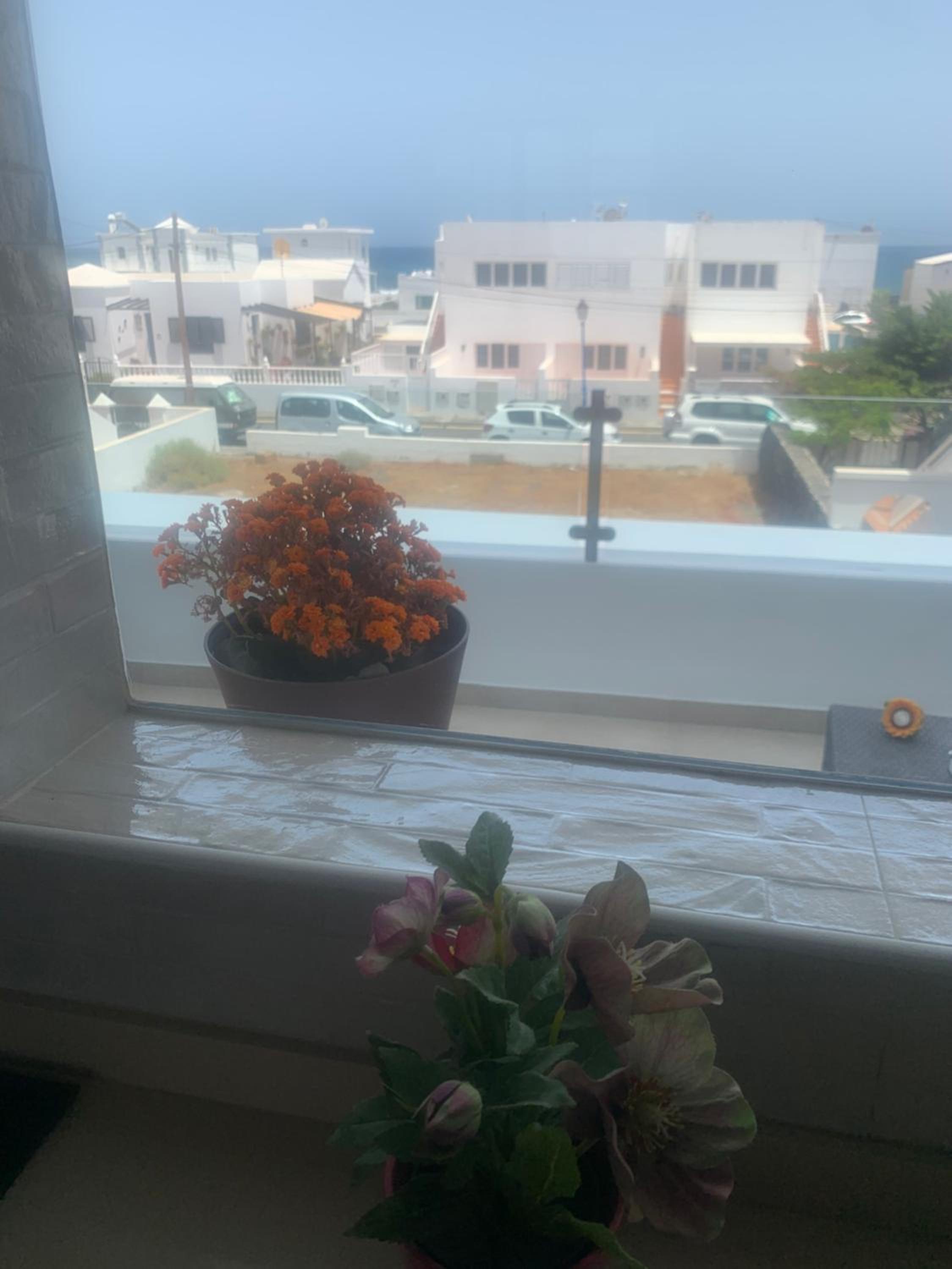 Las Rosas Apartment (Adults Only) view 5