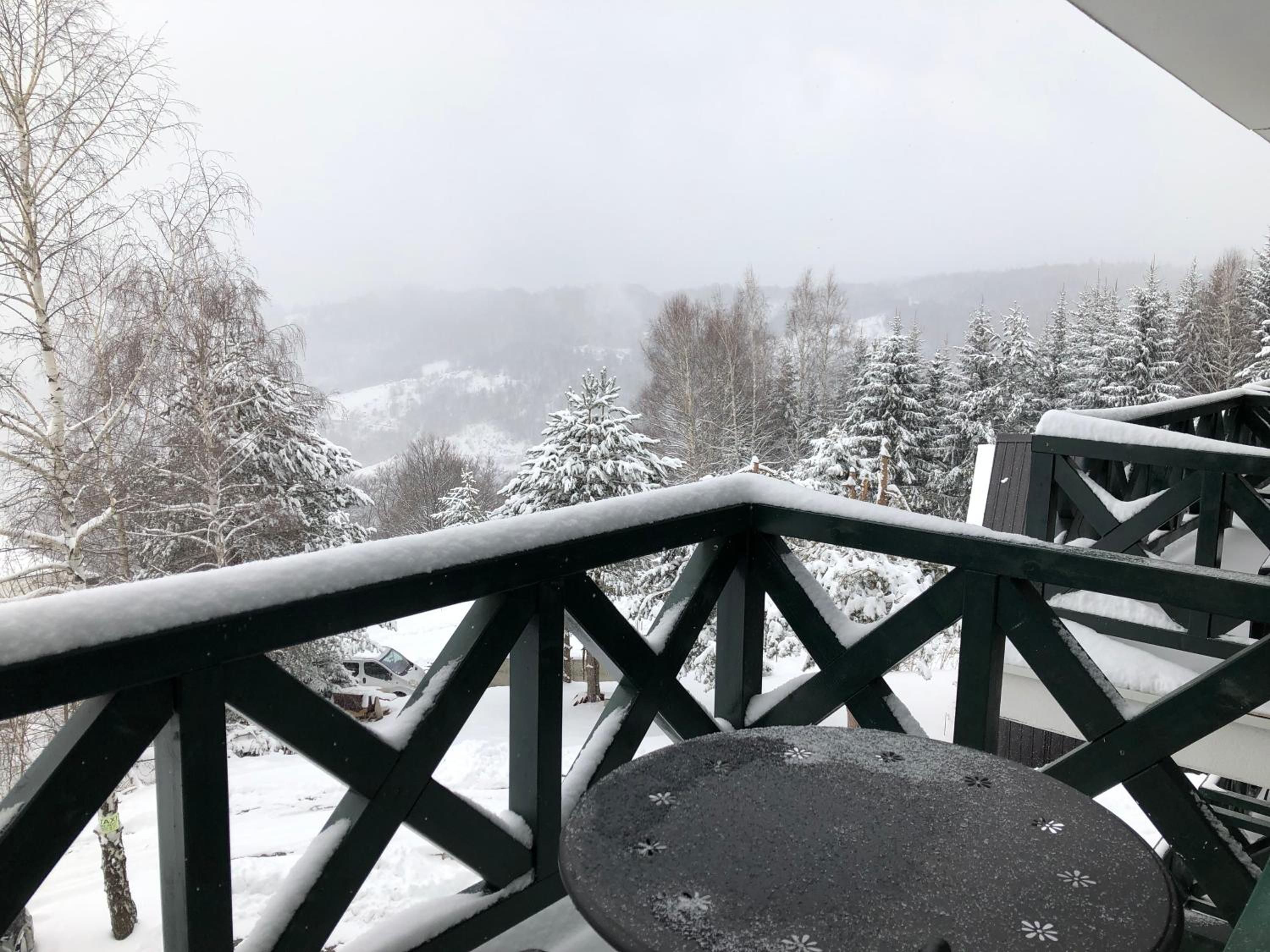 Apartman Srebrna pahulja view 2