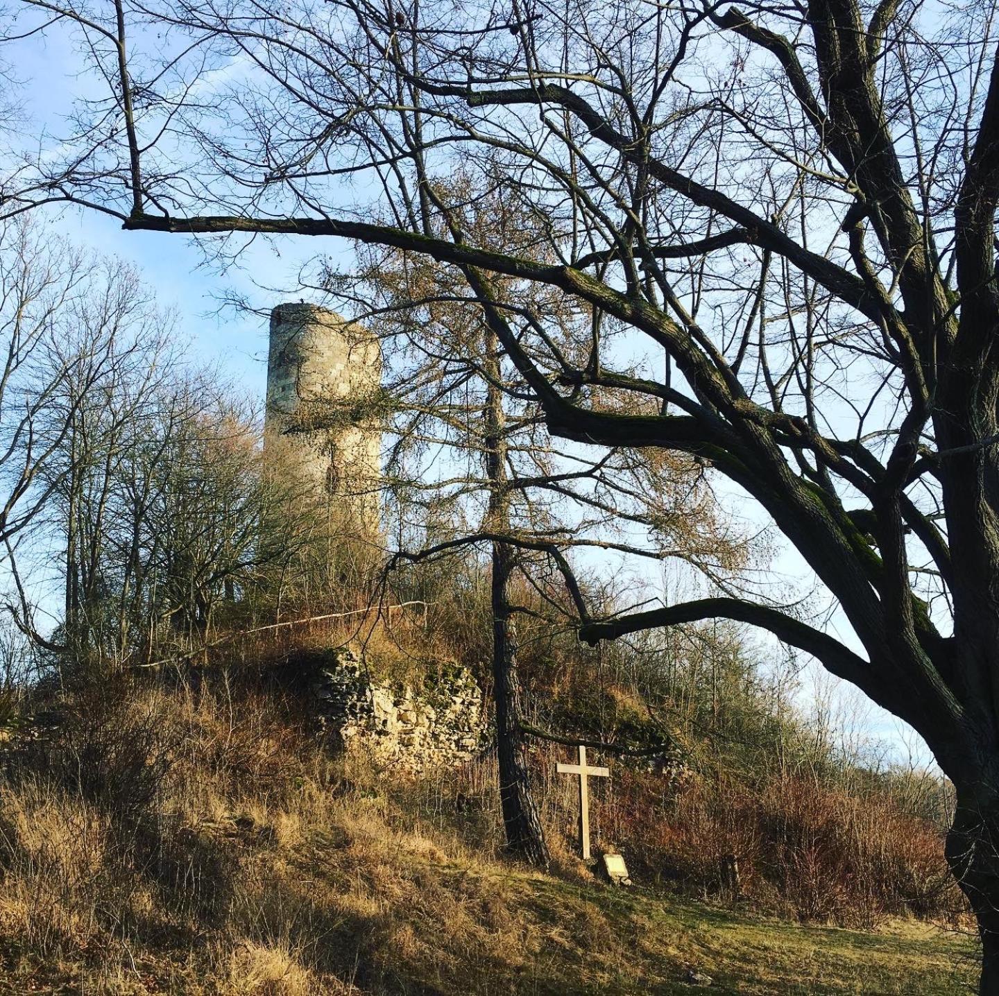 Ferienwohnungen Lausbuben & Zicken - im grünen Herzen Deutschlands