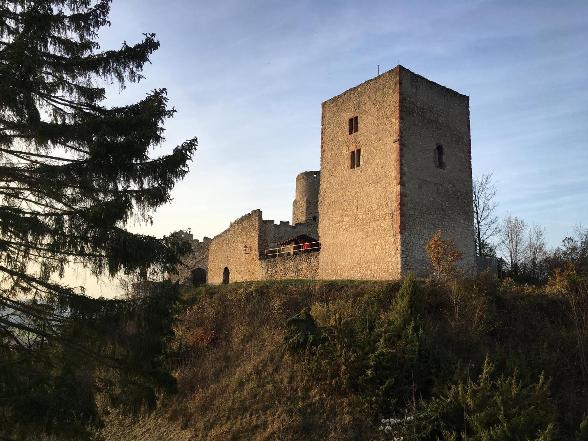 Ferienwohnungen Lausbuben & Zicken - im grünen Herzen Deutschlands
