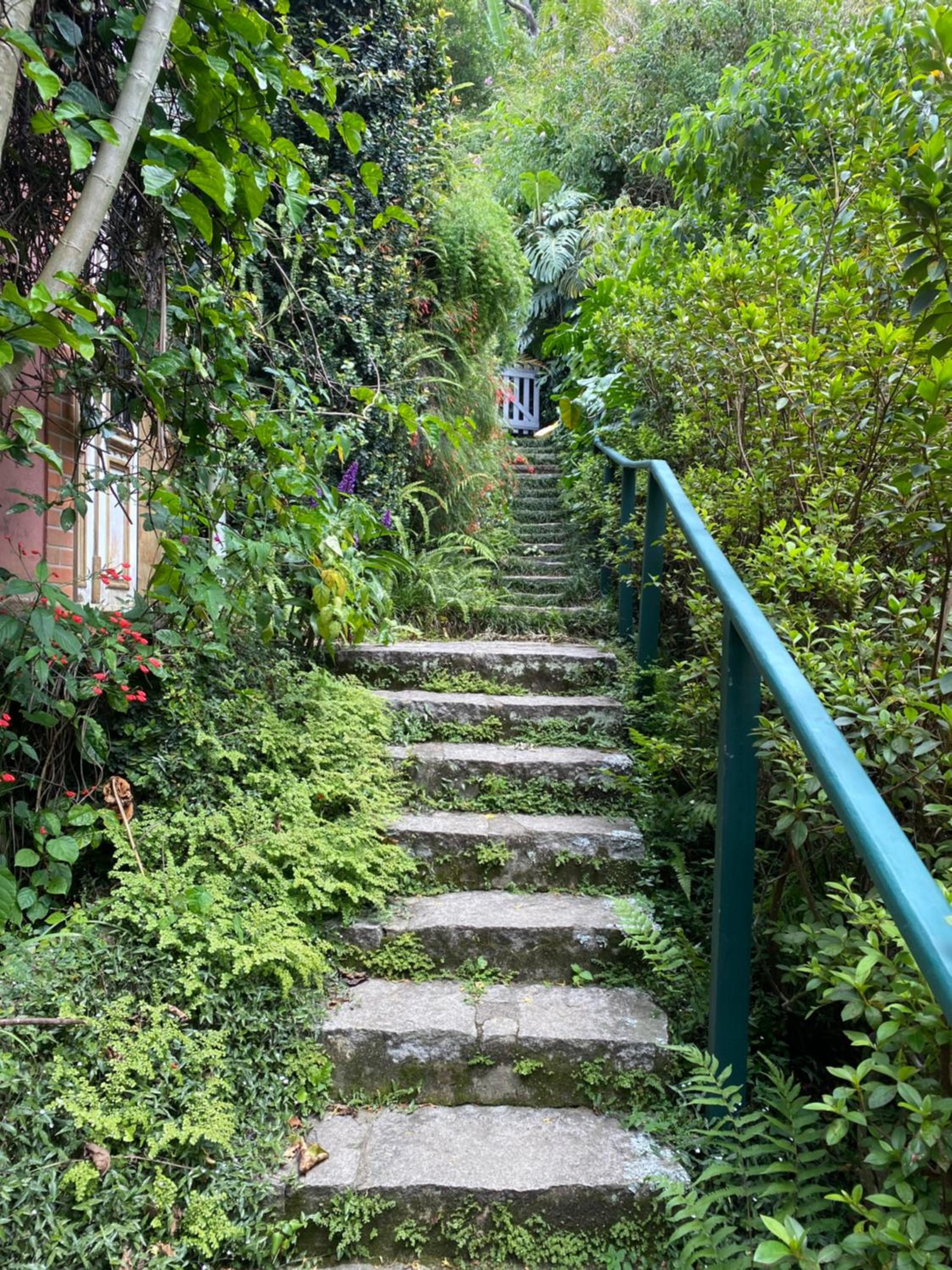 Villa Violeta