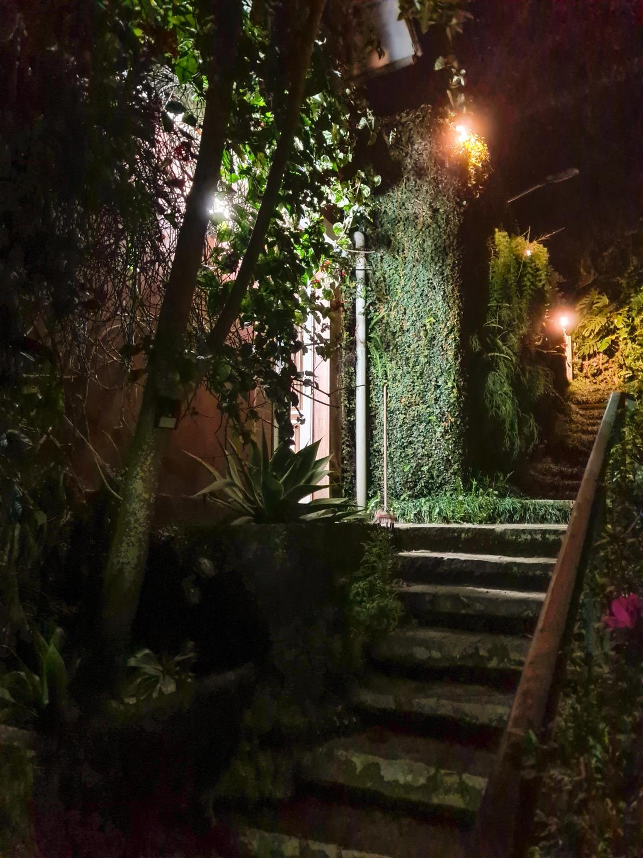 Villa Violeta
