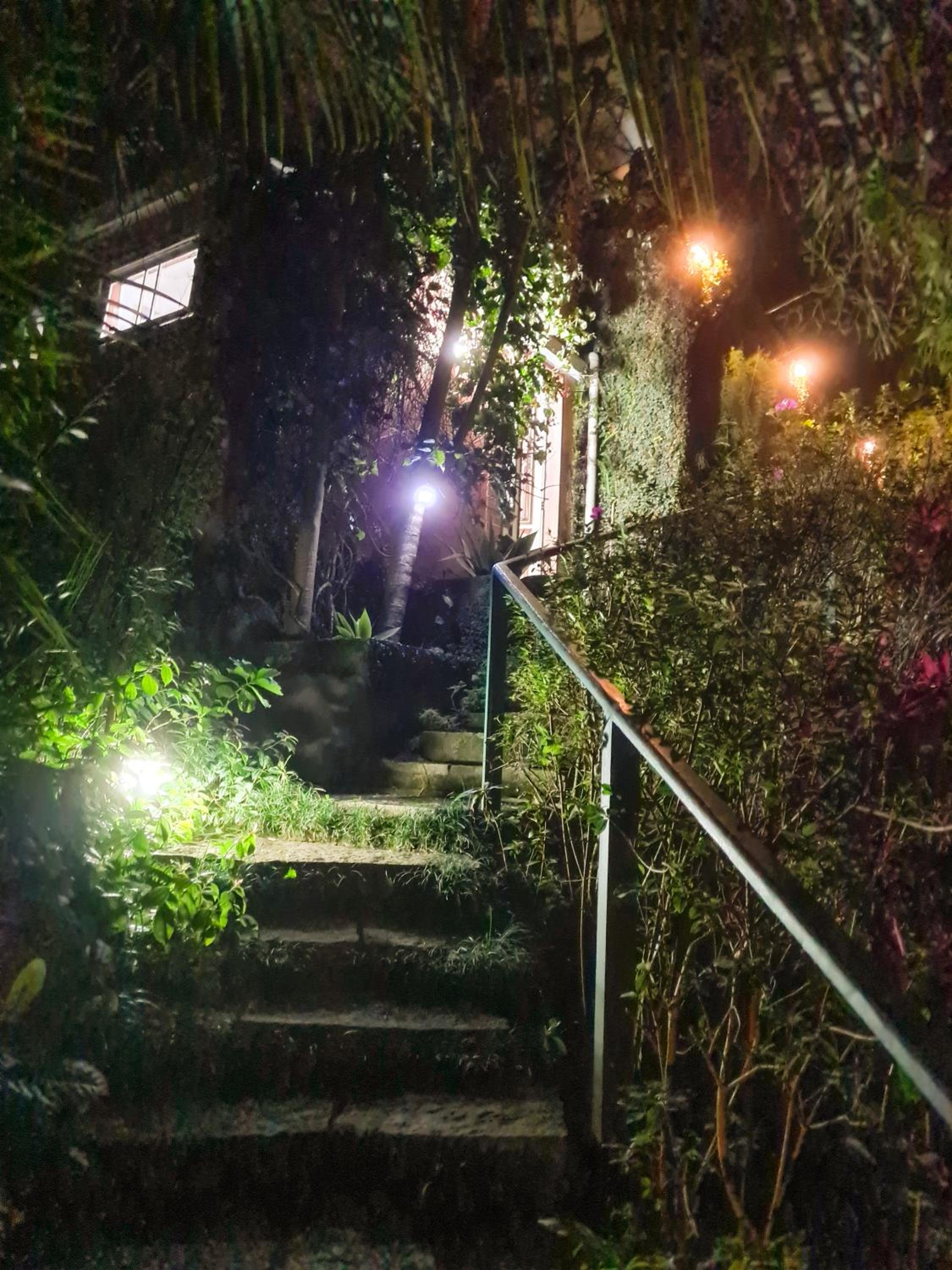 Villa Violeta