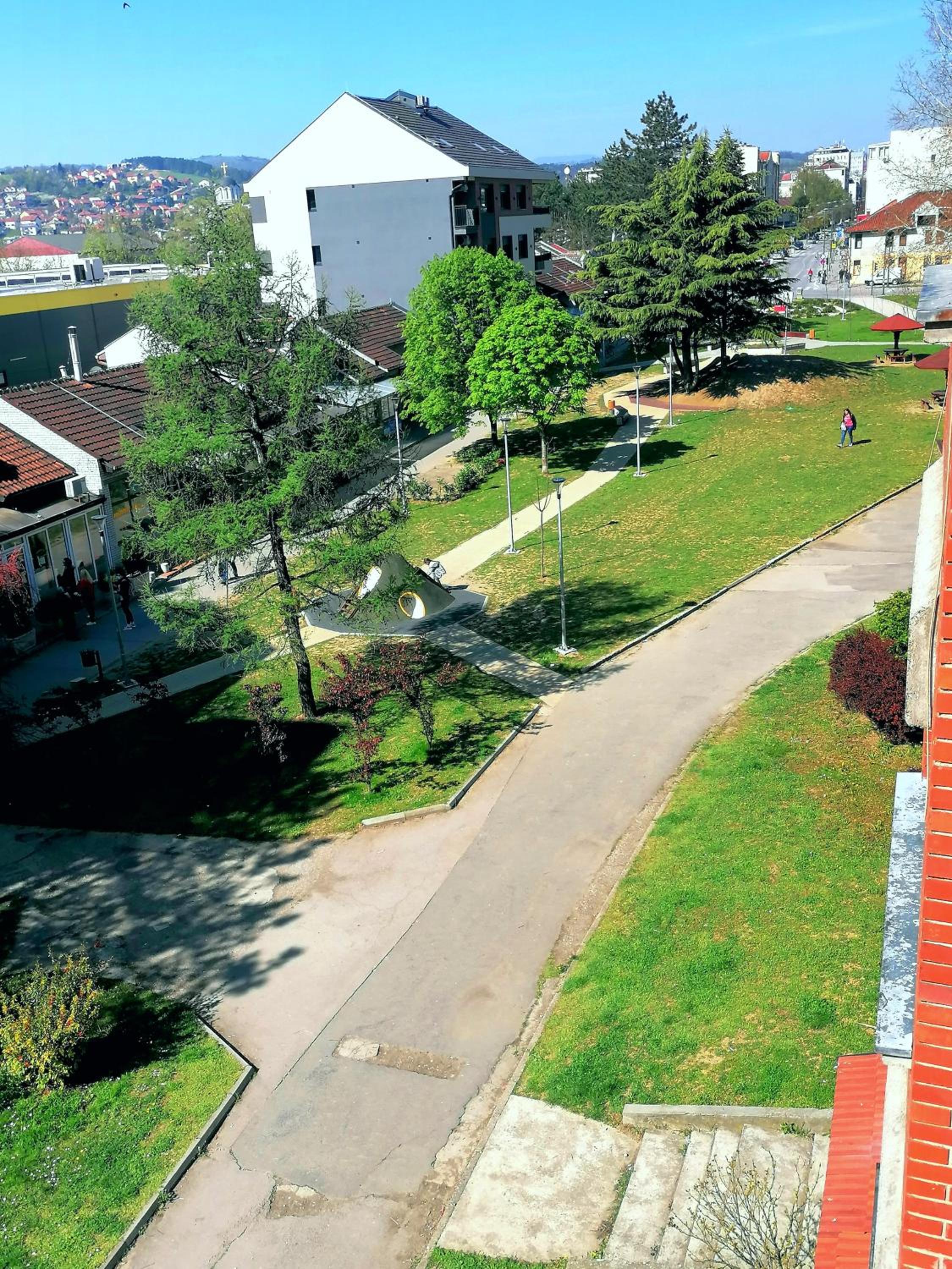 Photo 10