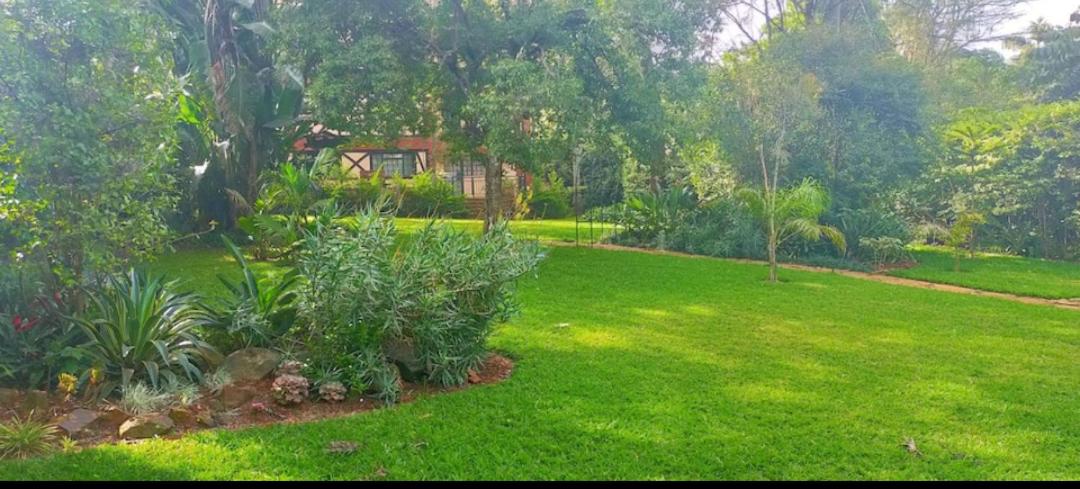 Twiga Hill Gardens view 5