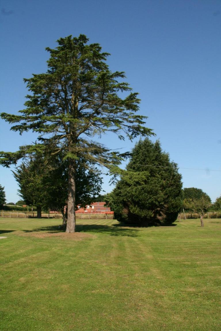 Photo 27