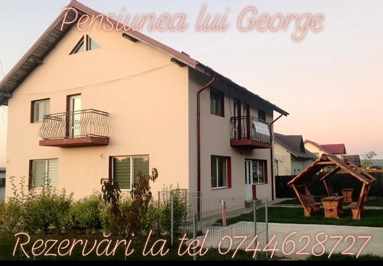 Pensiunea lui George view 3