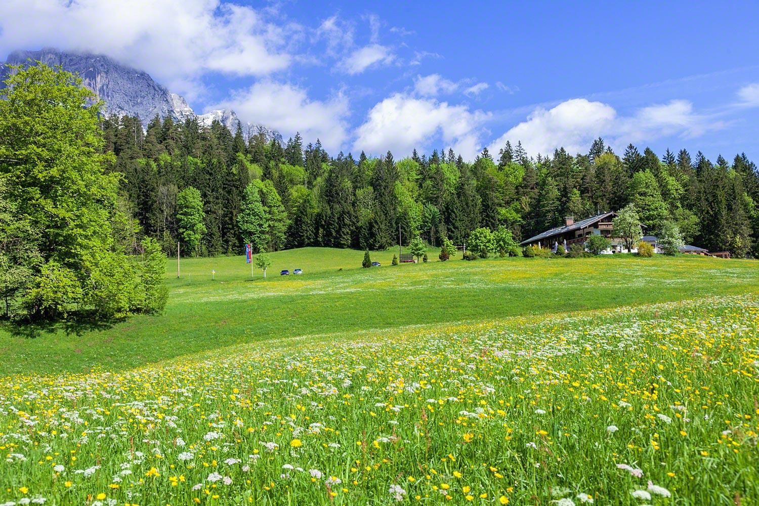 Gasthof-Ferienwohnungen Dürrlehen view 3