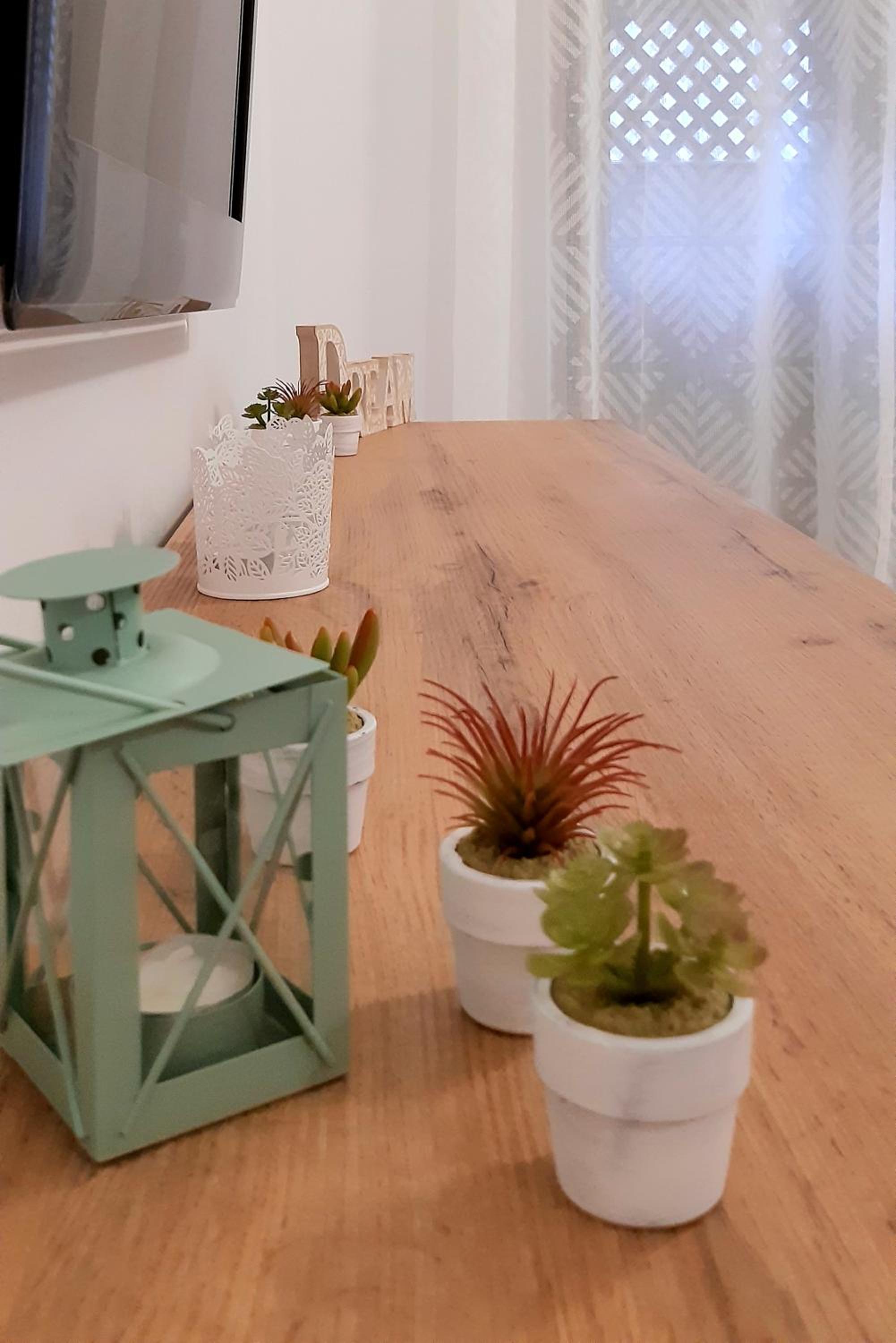 Summer Breeze -Tolo photo 4