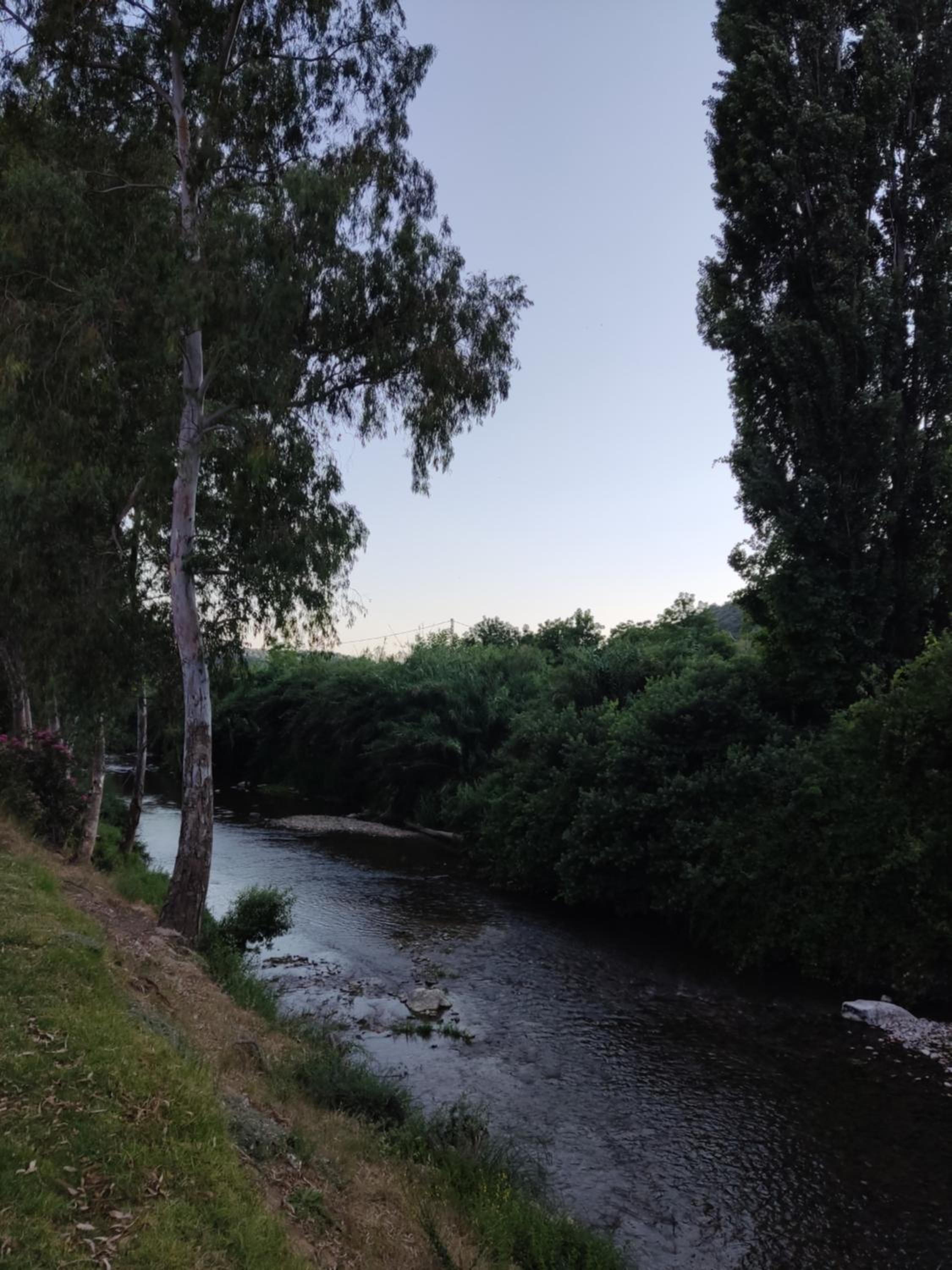 Photo 37