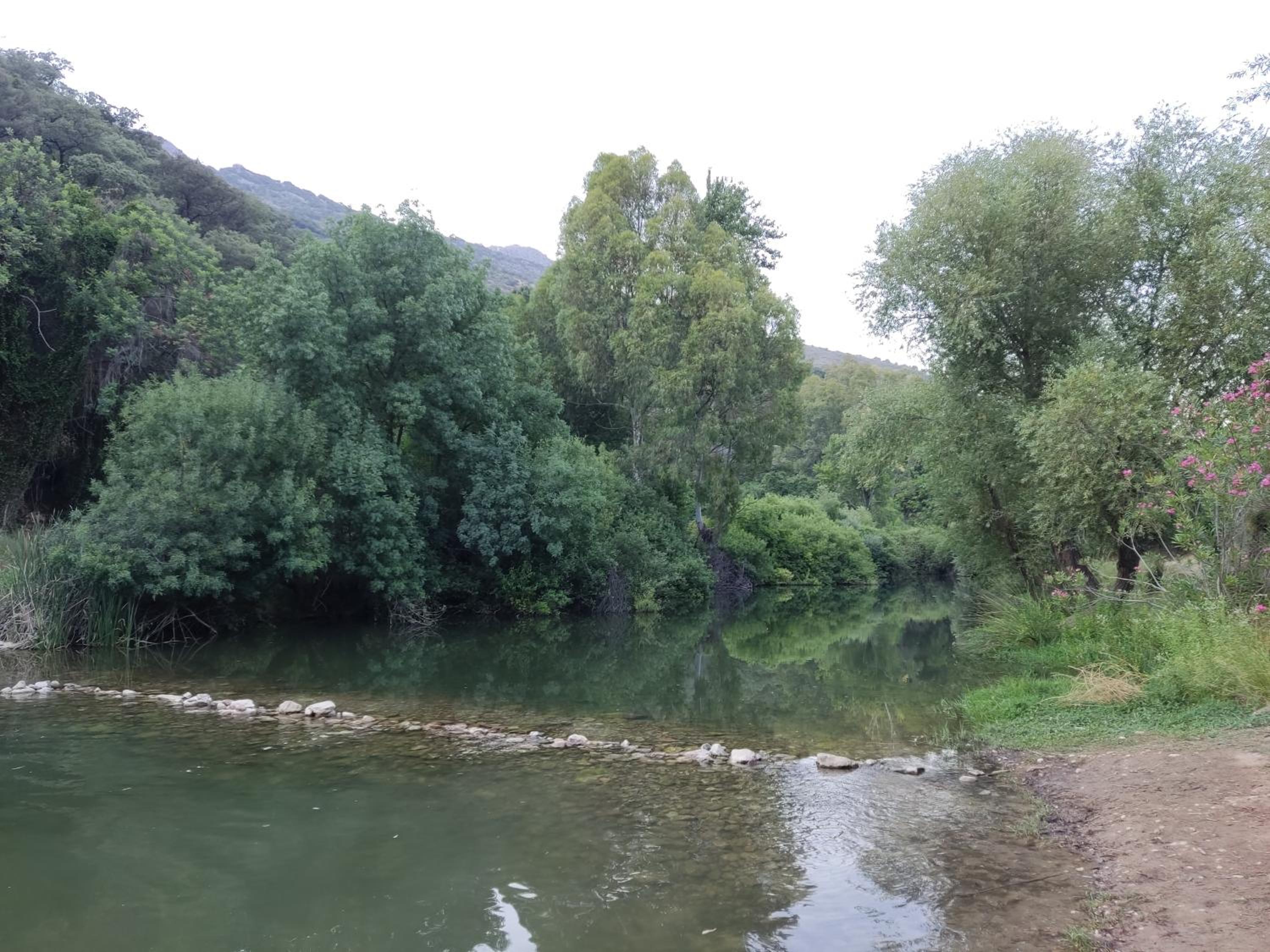 Photo 38