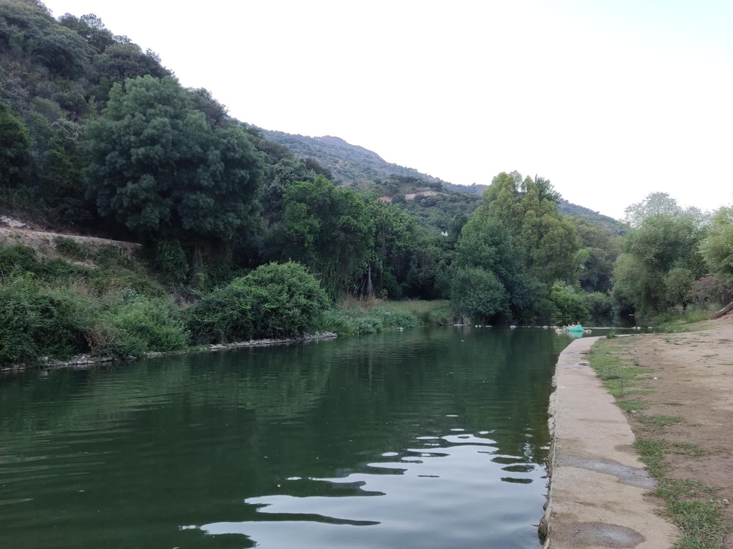 Photo 41