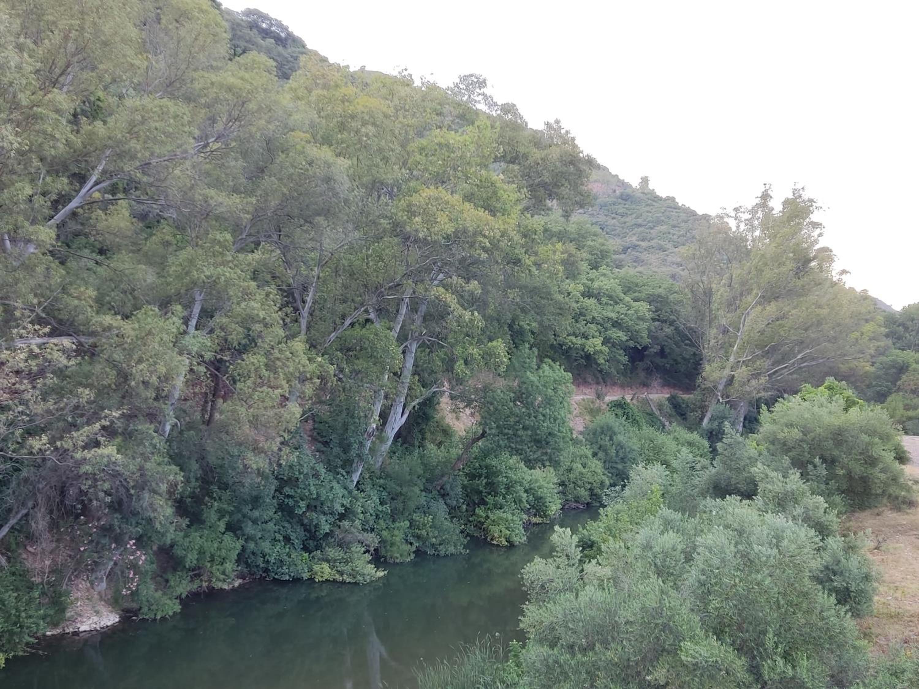 Photo 43