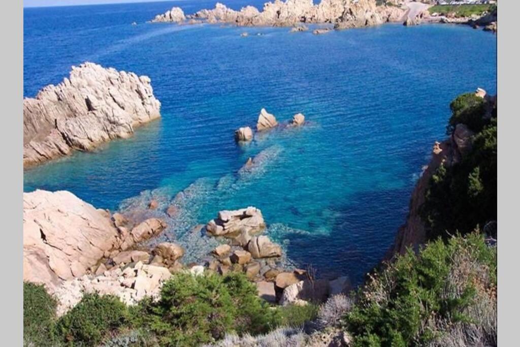 Grazioso appartamento Isola Rossa view 4