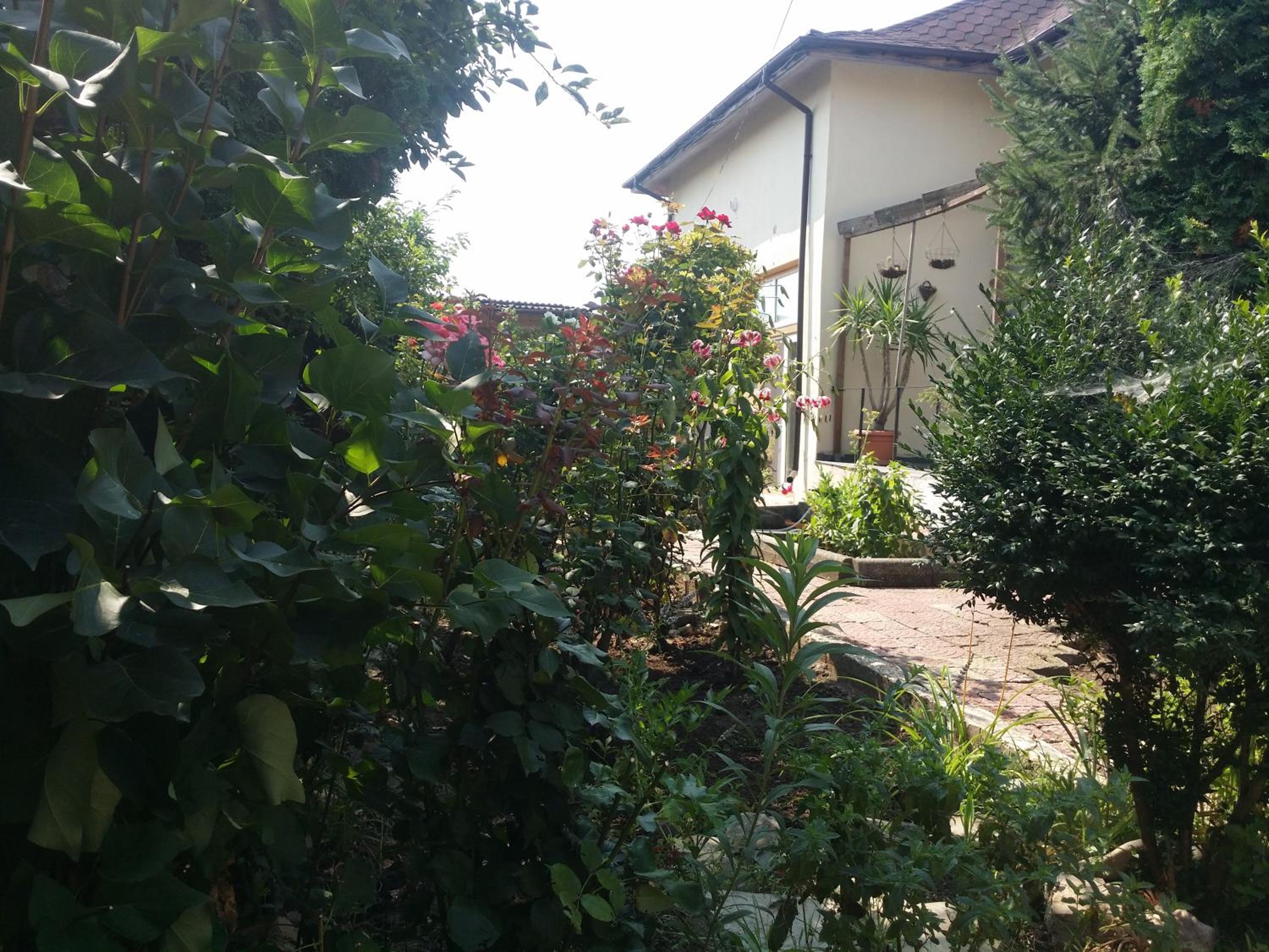 Photo 47