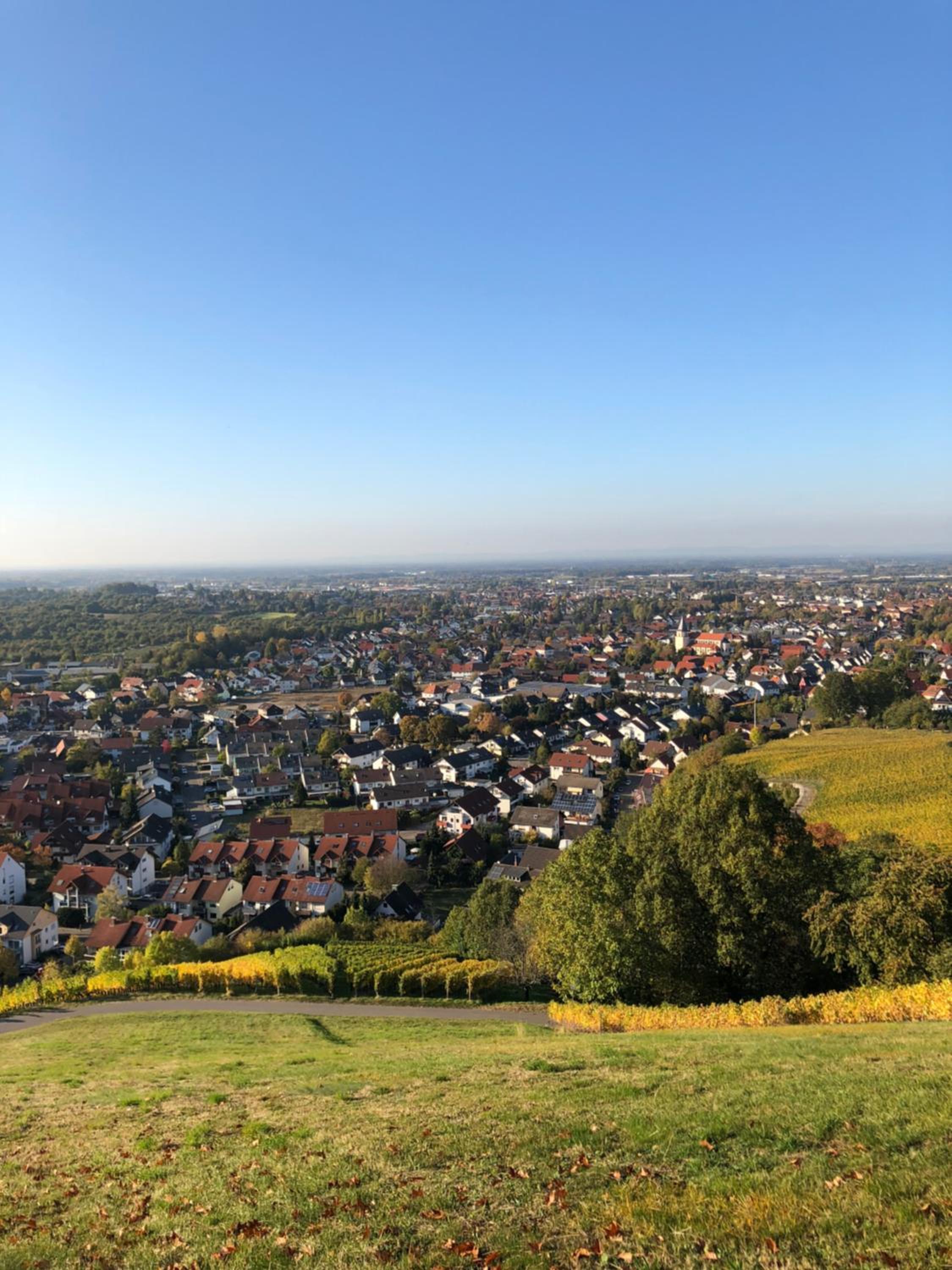 Linde Oberachern
