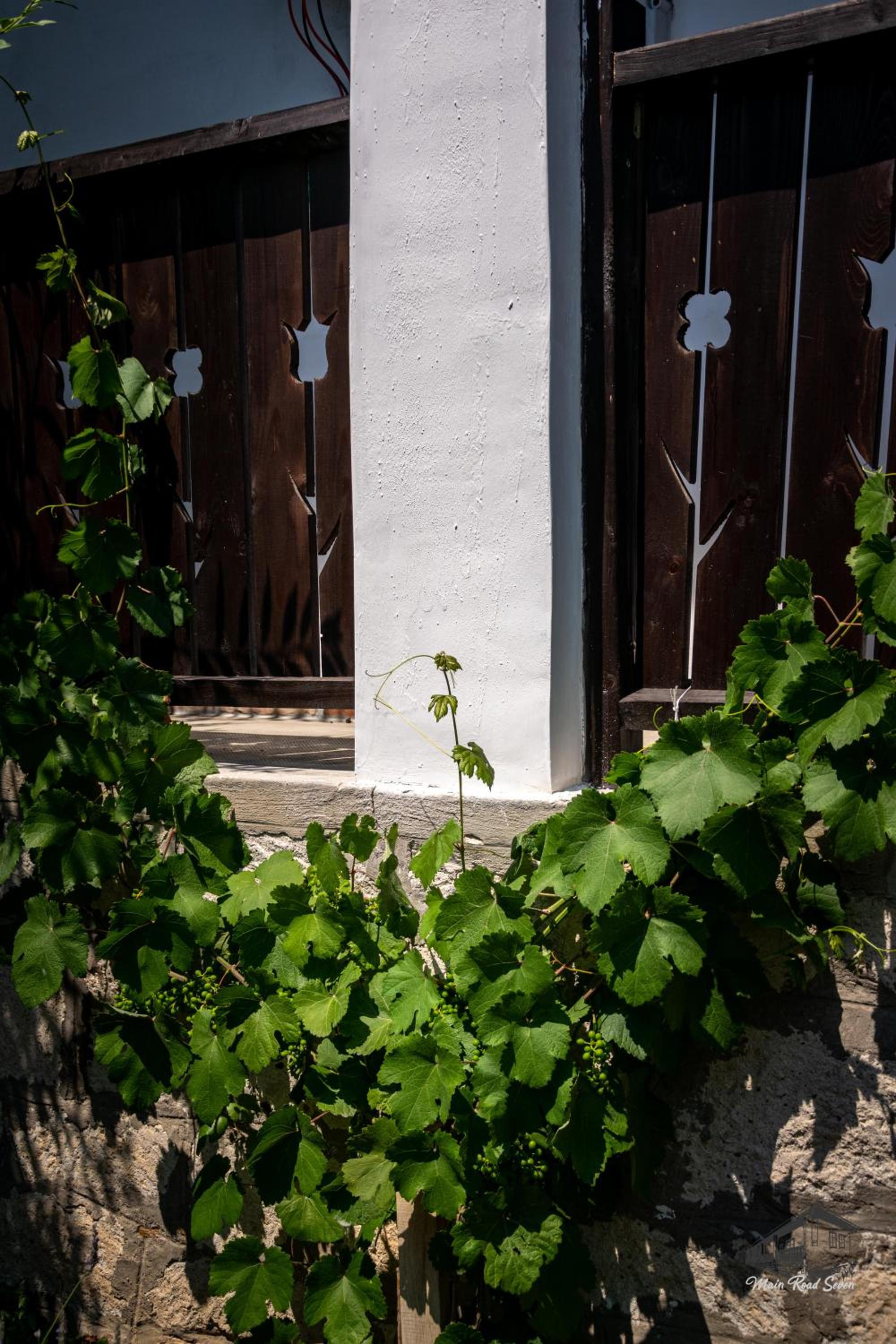 Photo 36