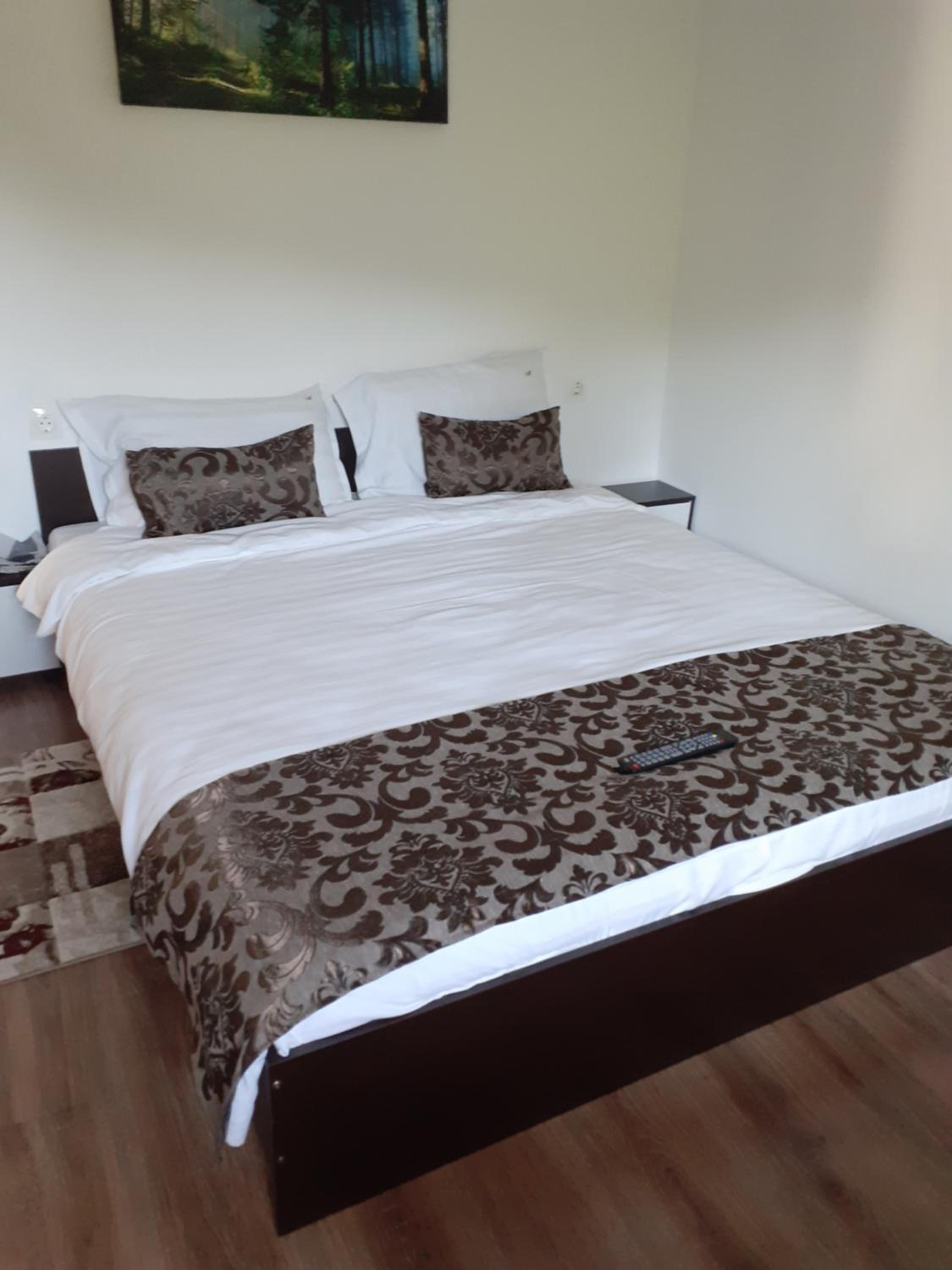 Casa Moșoiu view 5