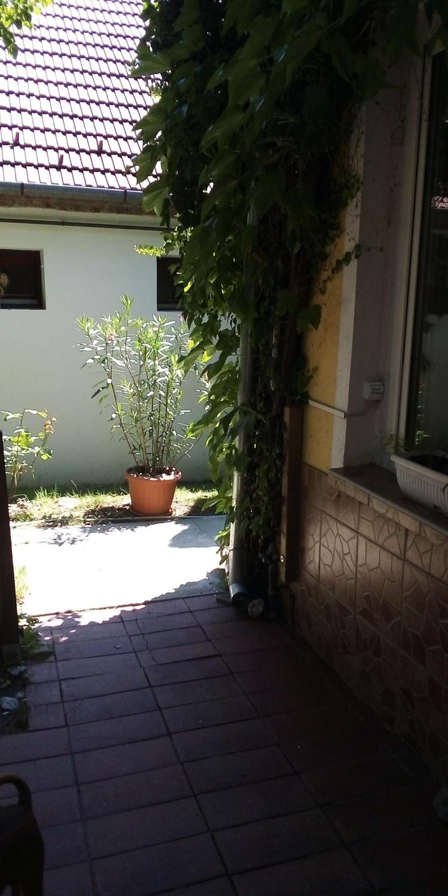 Photo 55