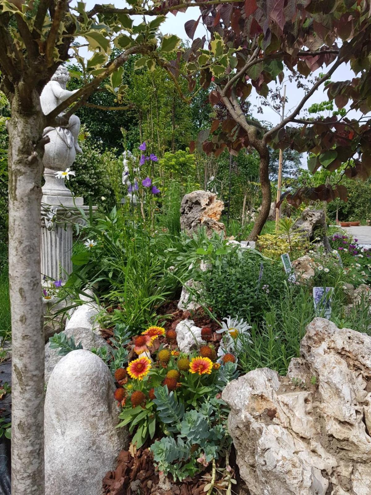 Nel giardino di Dafne view 5