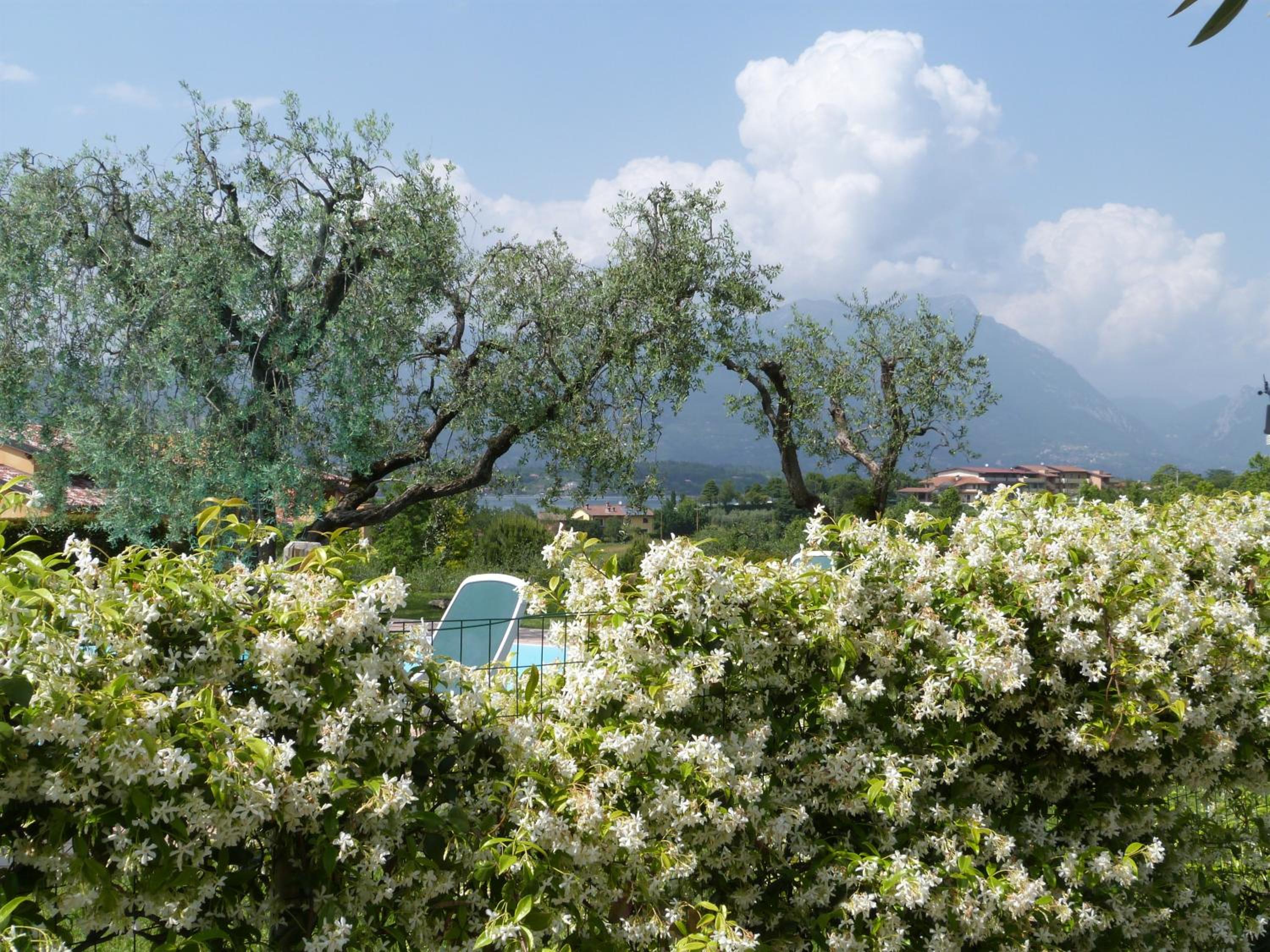 Locanda Da Vittorio
