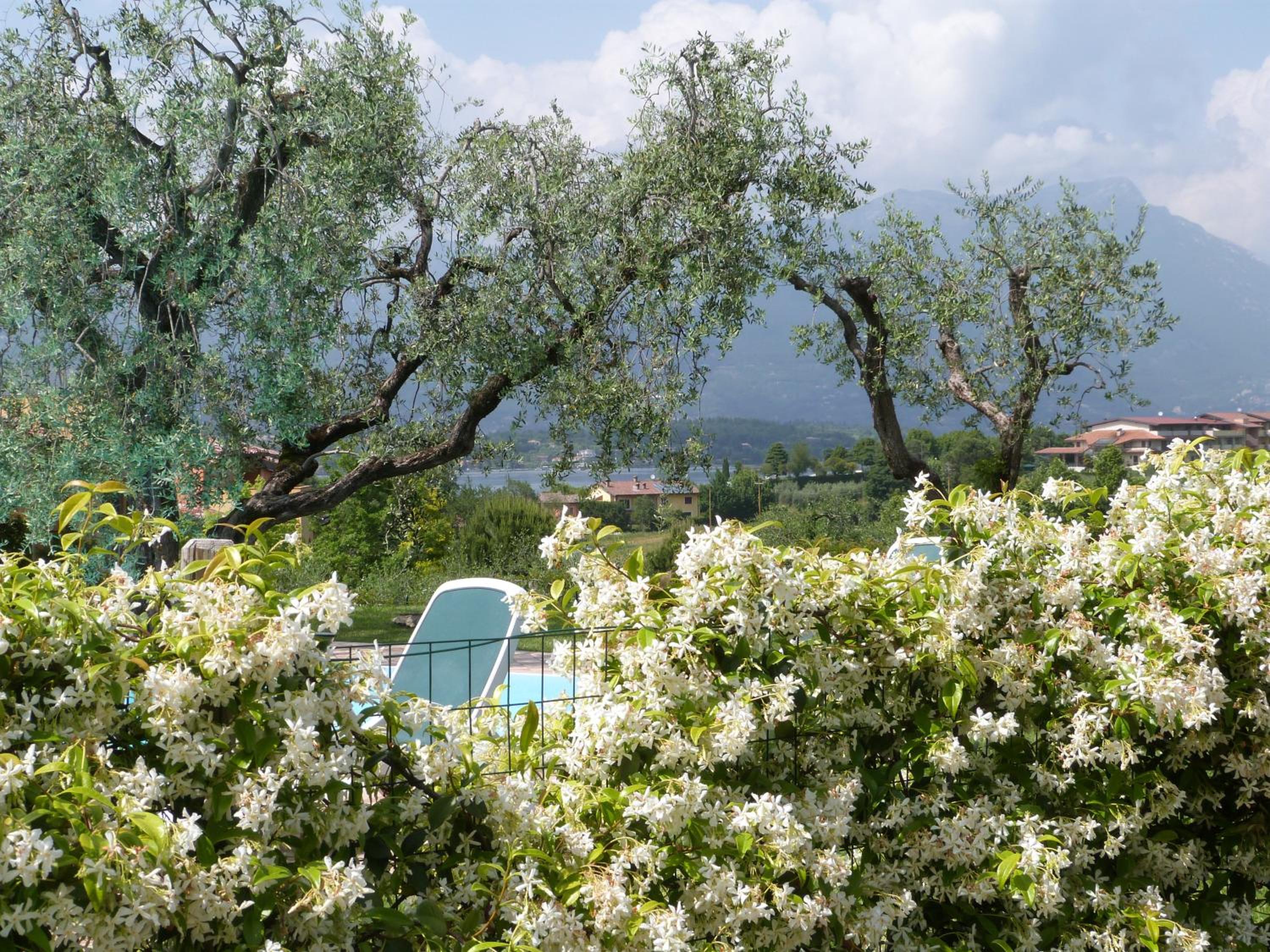 Locanda Da Vittorio