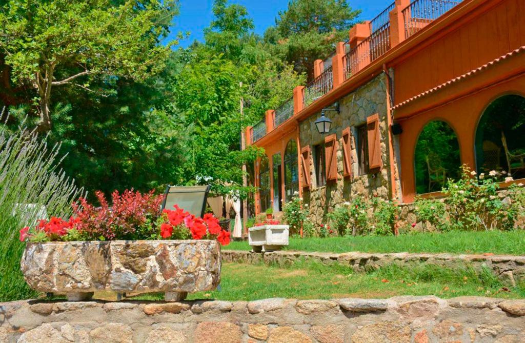 Hospedium Hostal Almanzor