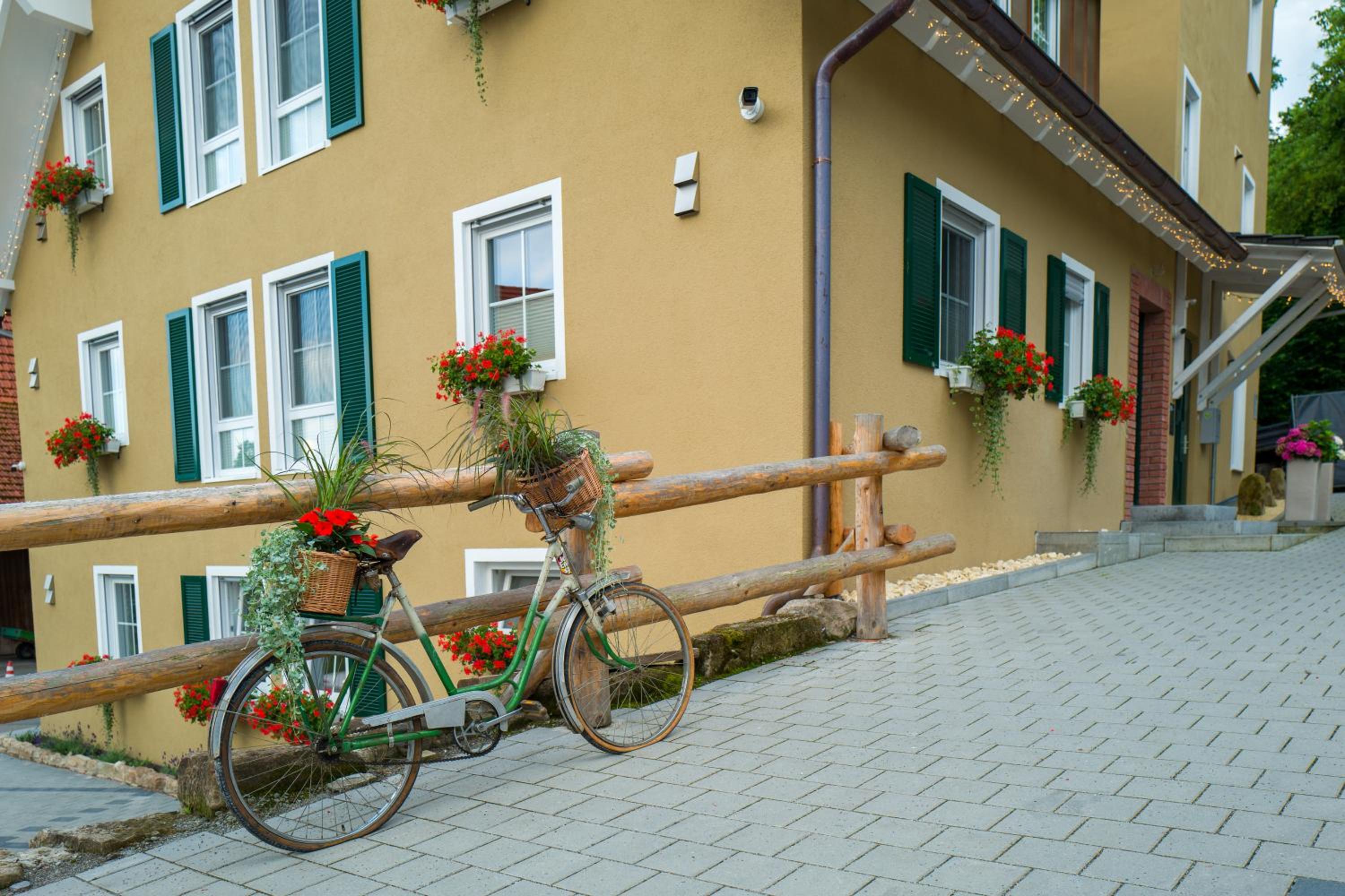 Photo 46