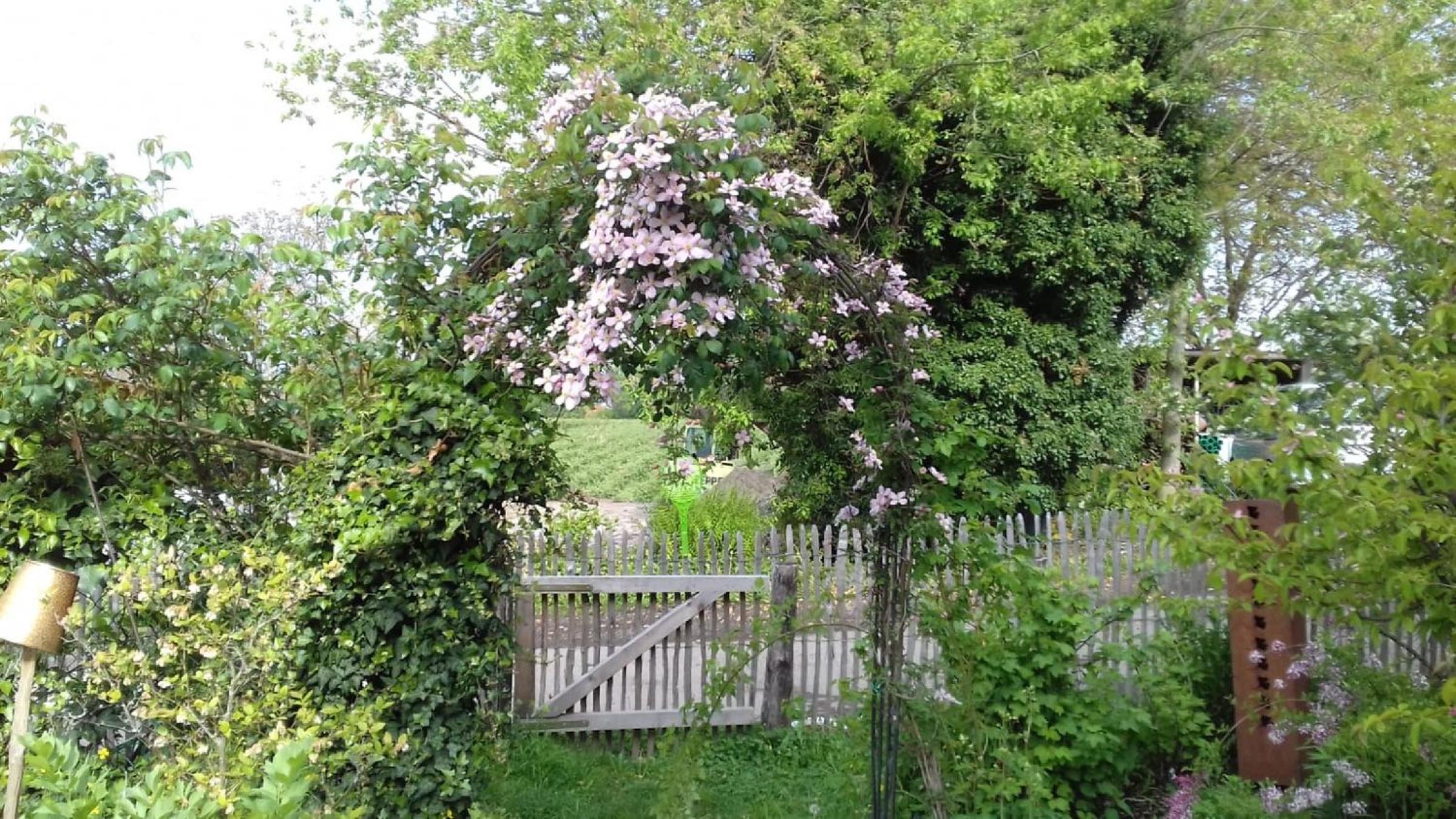 Photo 25